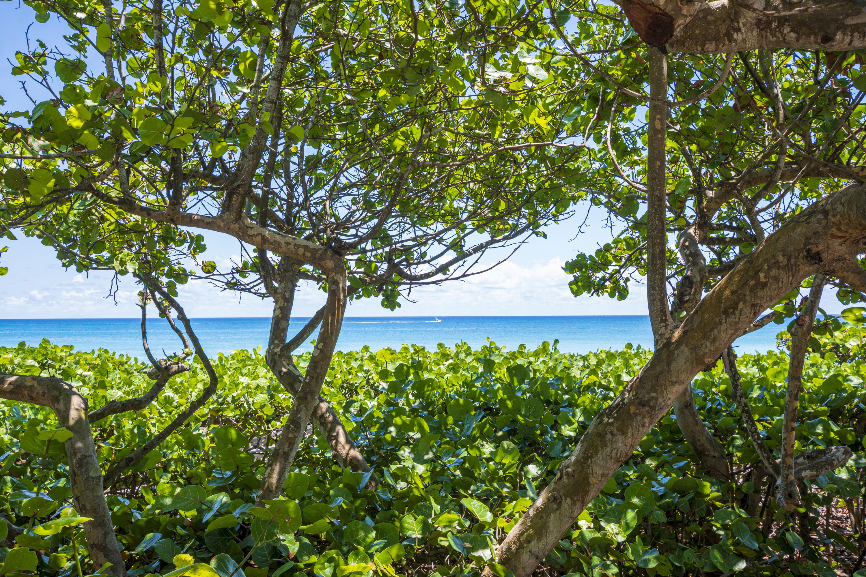 Beautiful nearby beaches