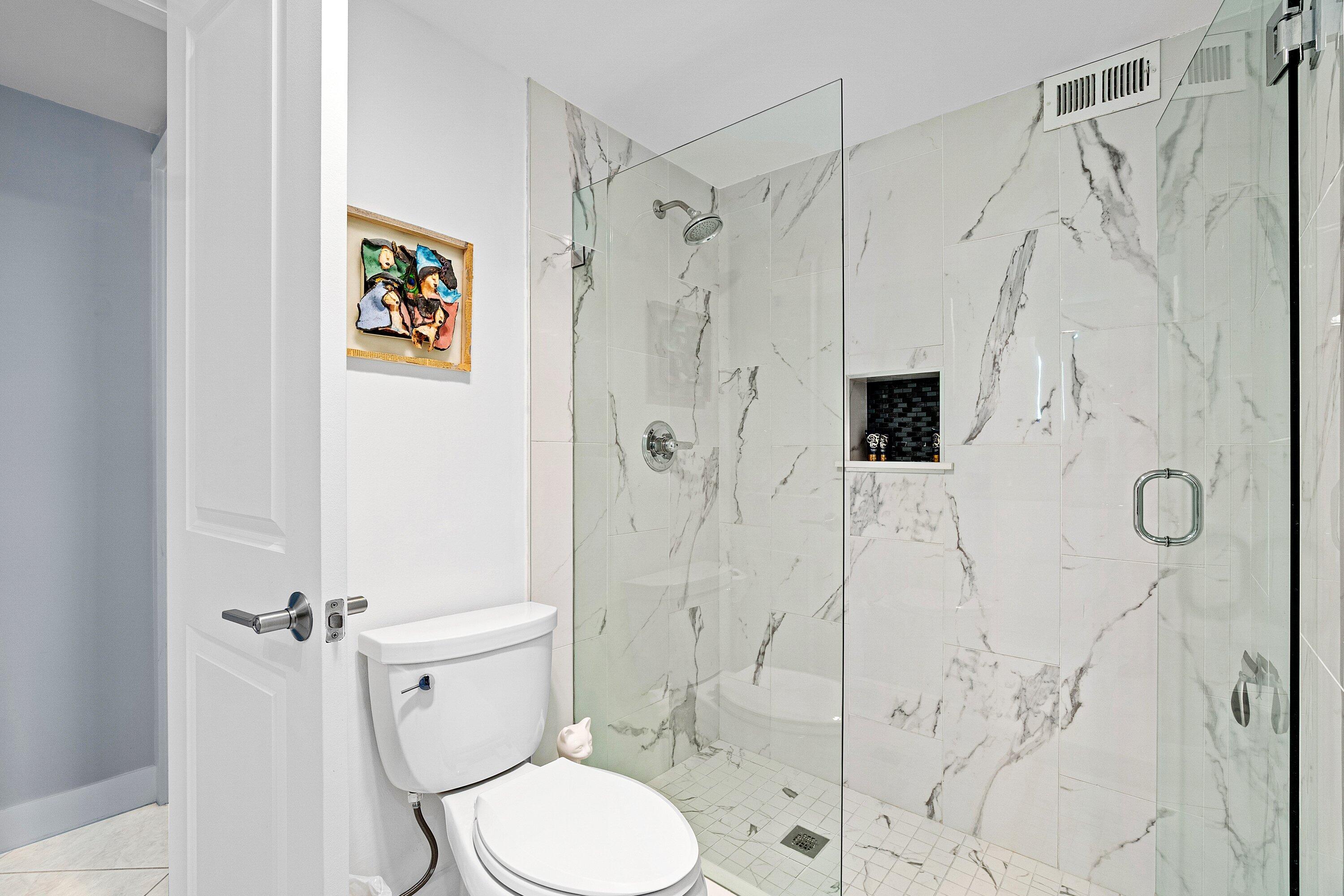 Guest Bathroom Walk In
