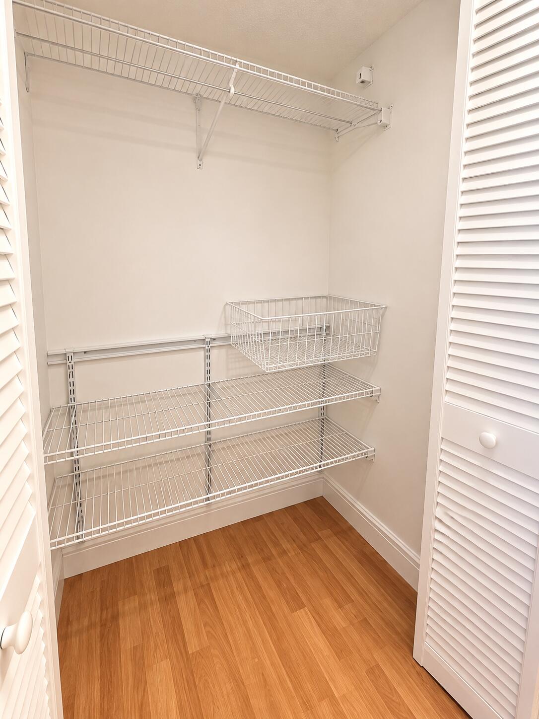 Bright Empty Walk-In Closet with Wire Sh