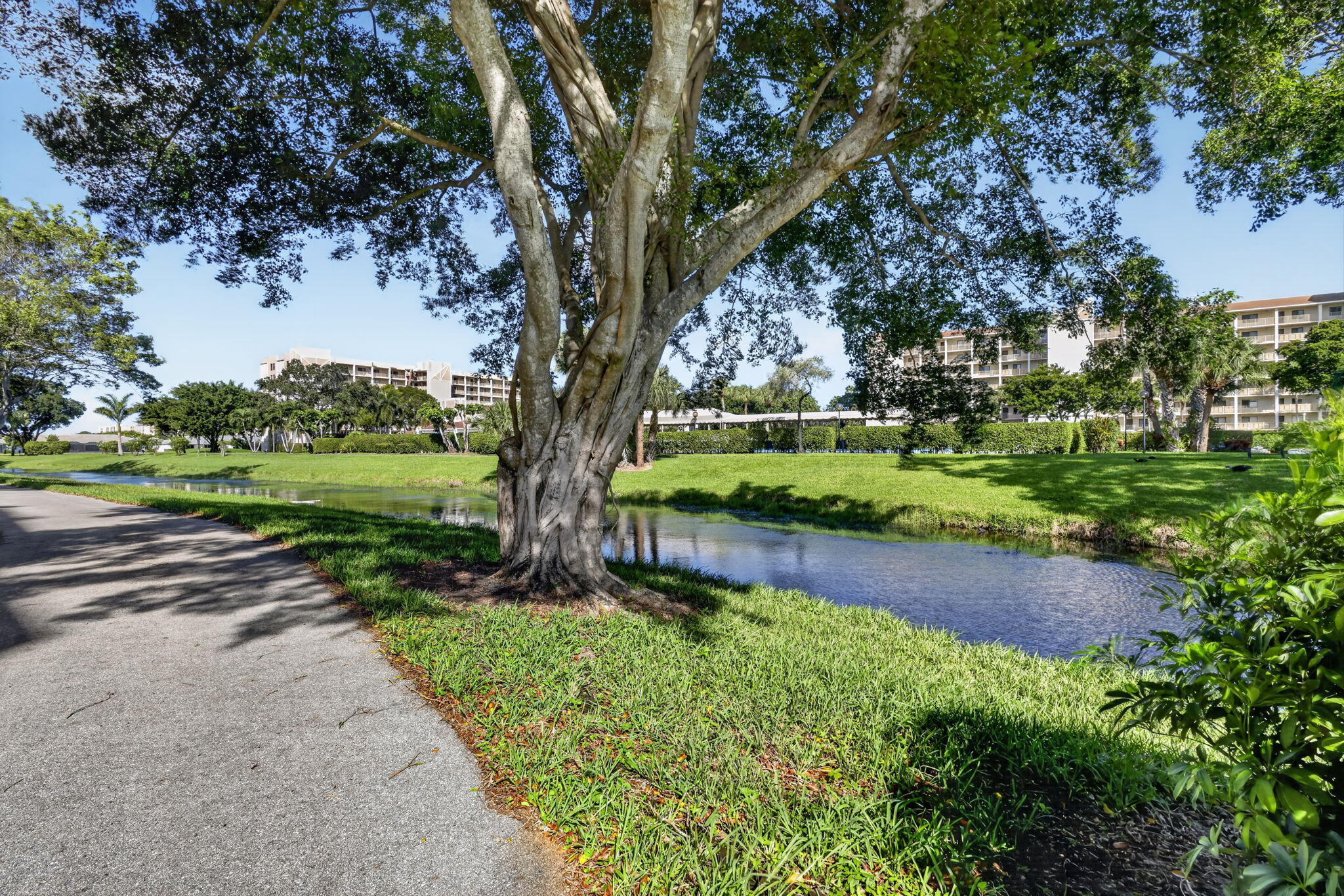 Paved walkway bordering a canal featuring mature trees and maintained green space