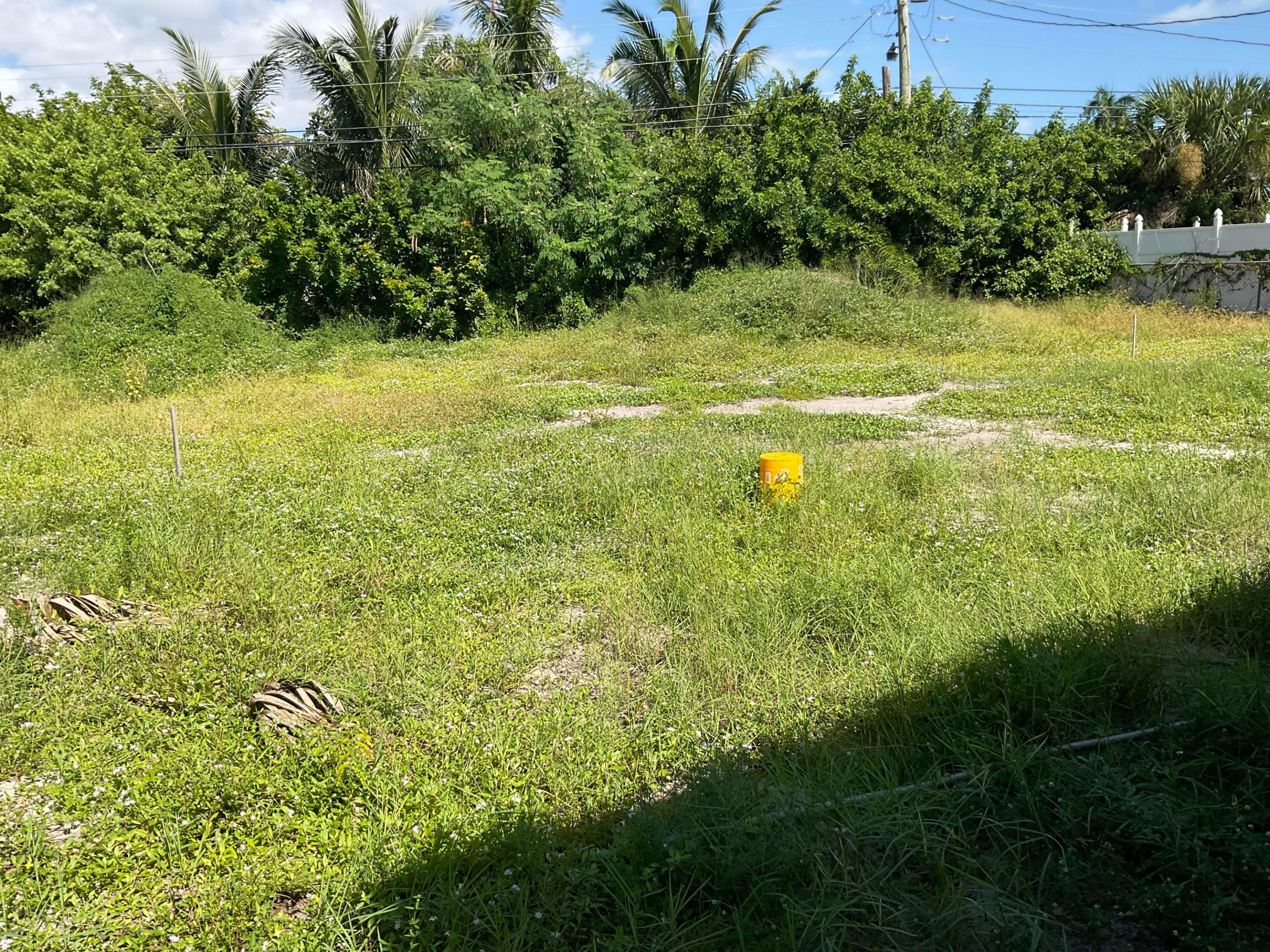 back yard
