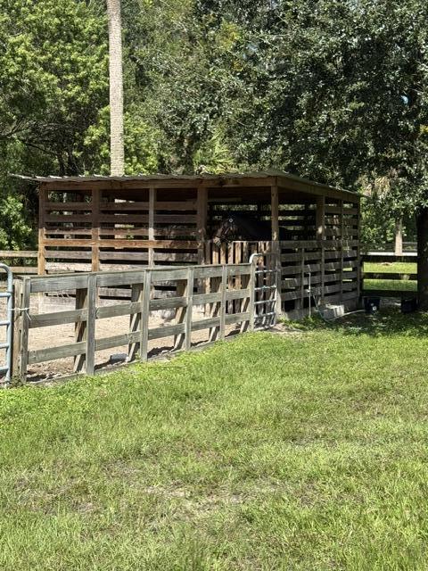 STALL PADDOCK 2