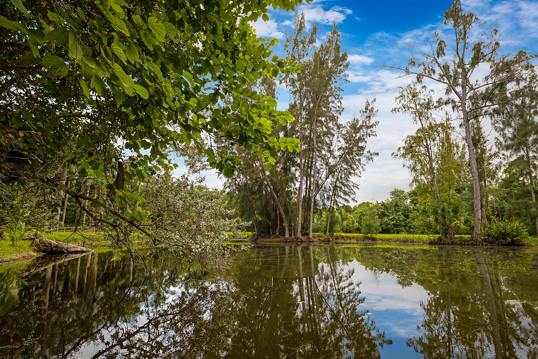 pond
