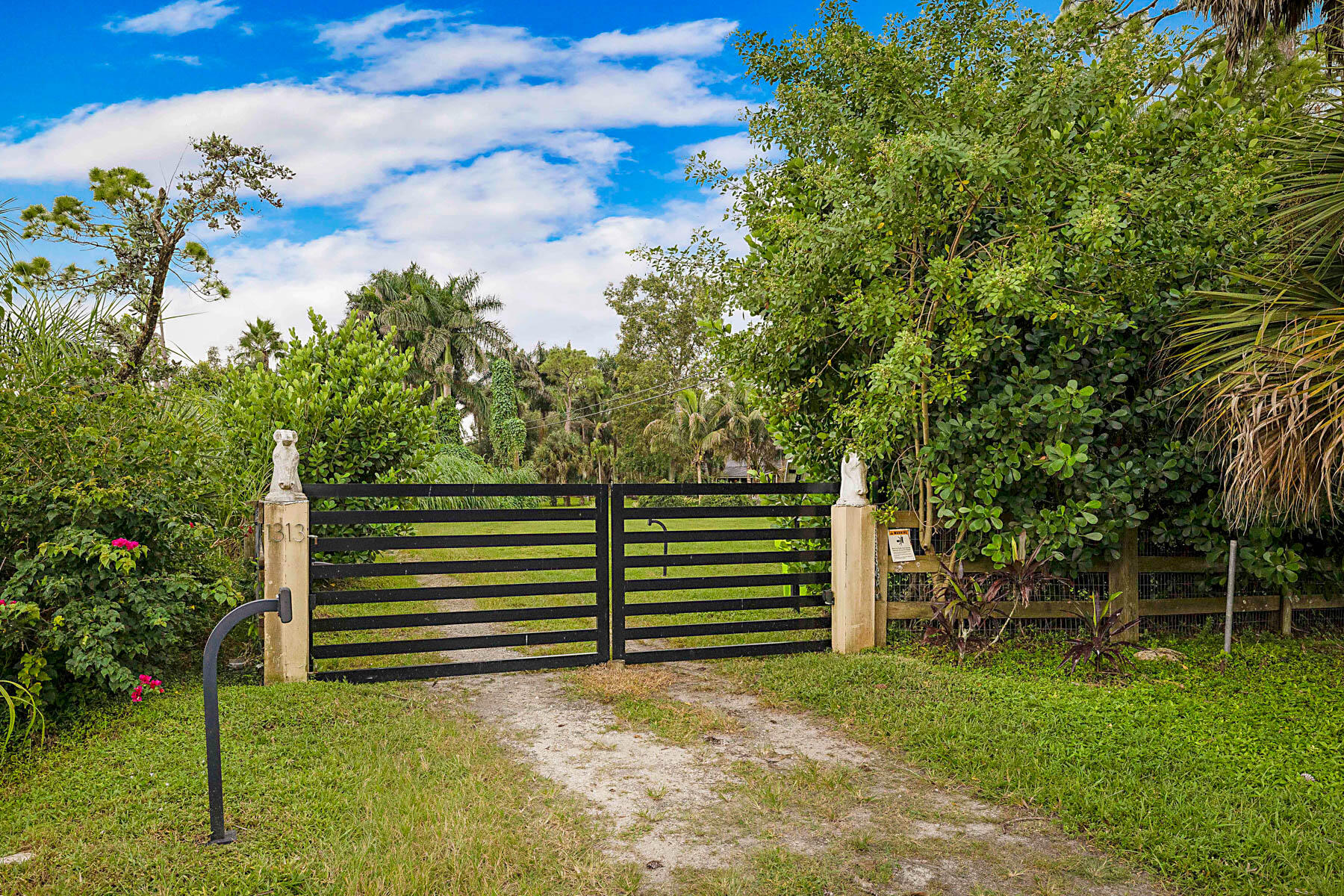 electric gate