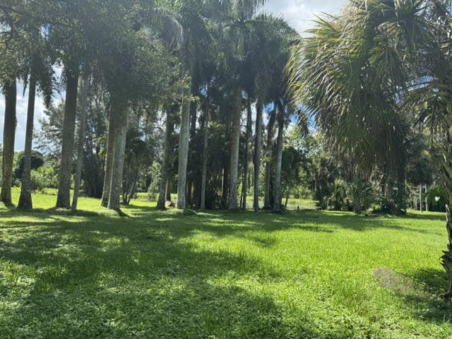 1313 D rd 5 acres