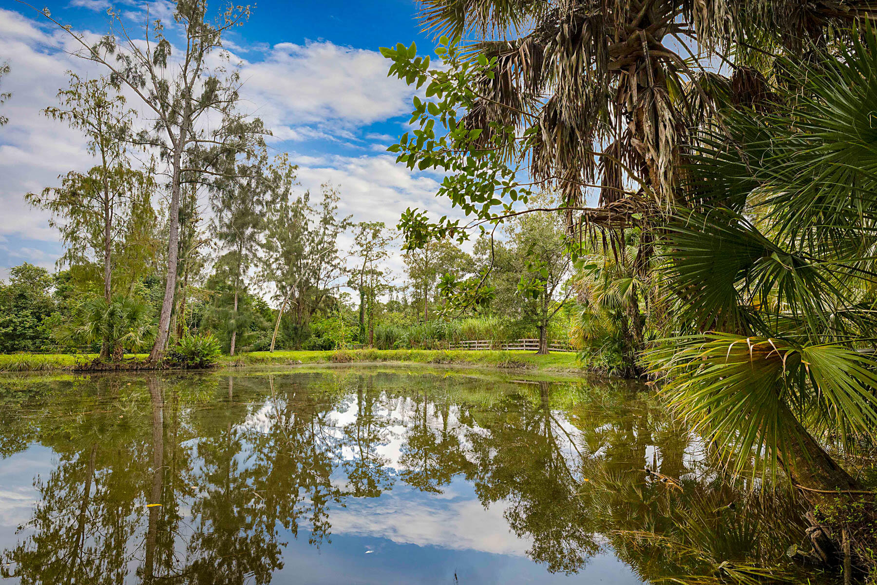 Pond
