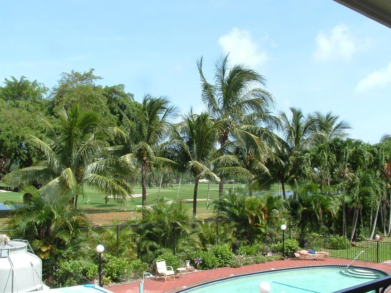 view view
