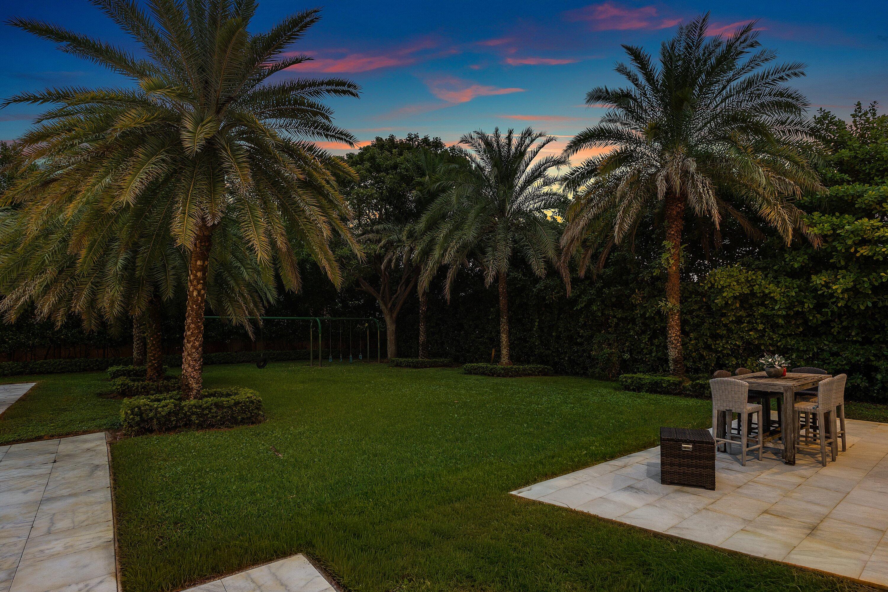 Twilight - Backyard