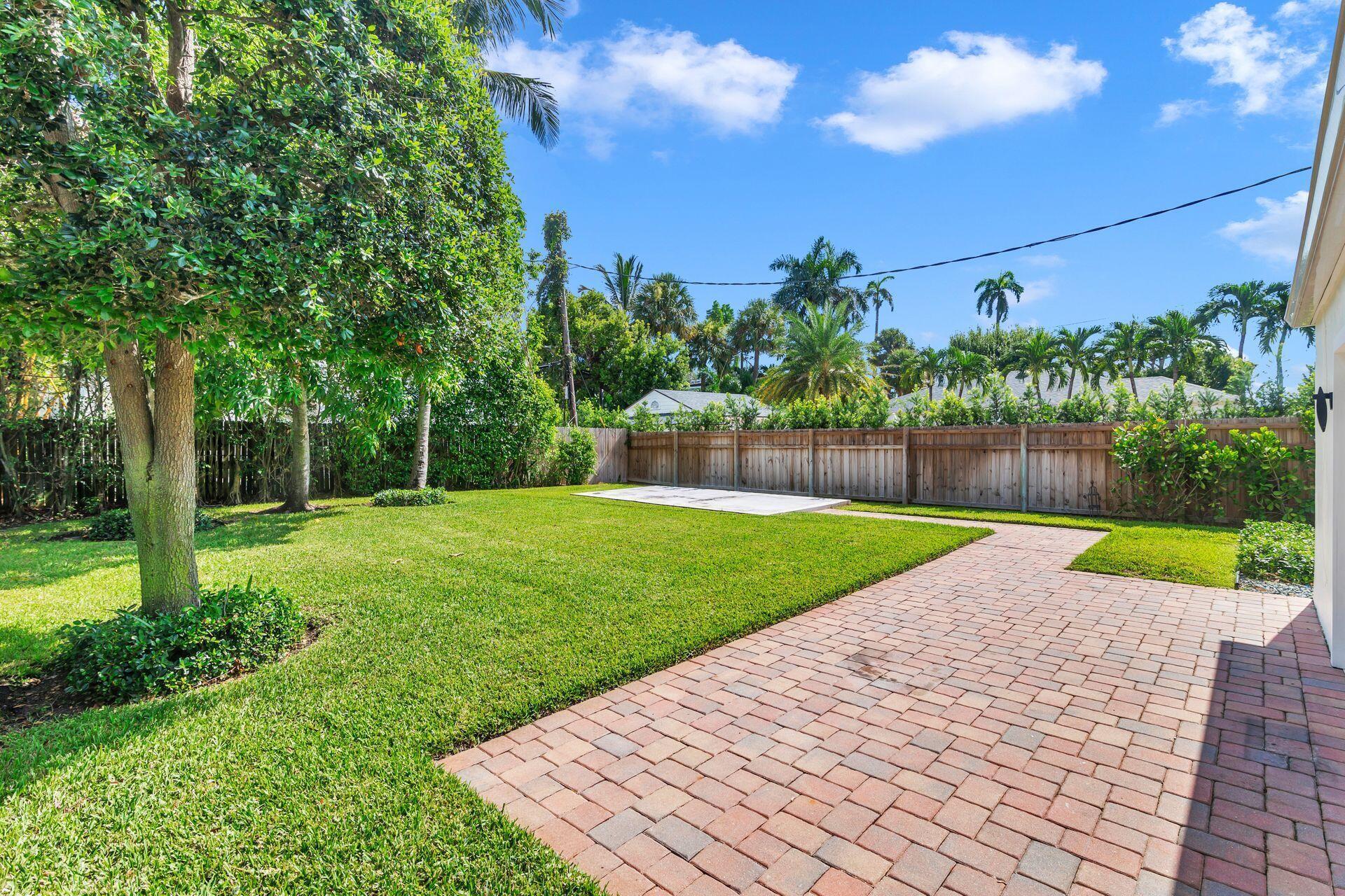 Backyard