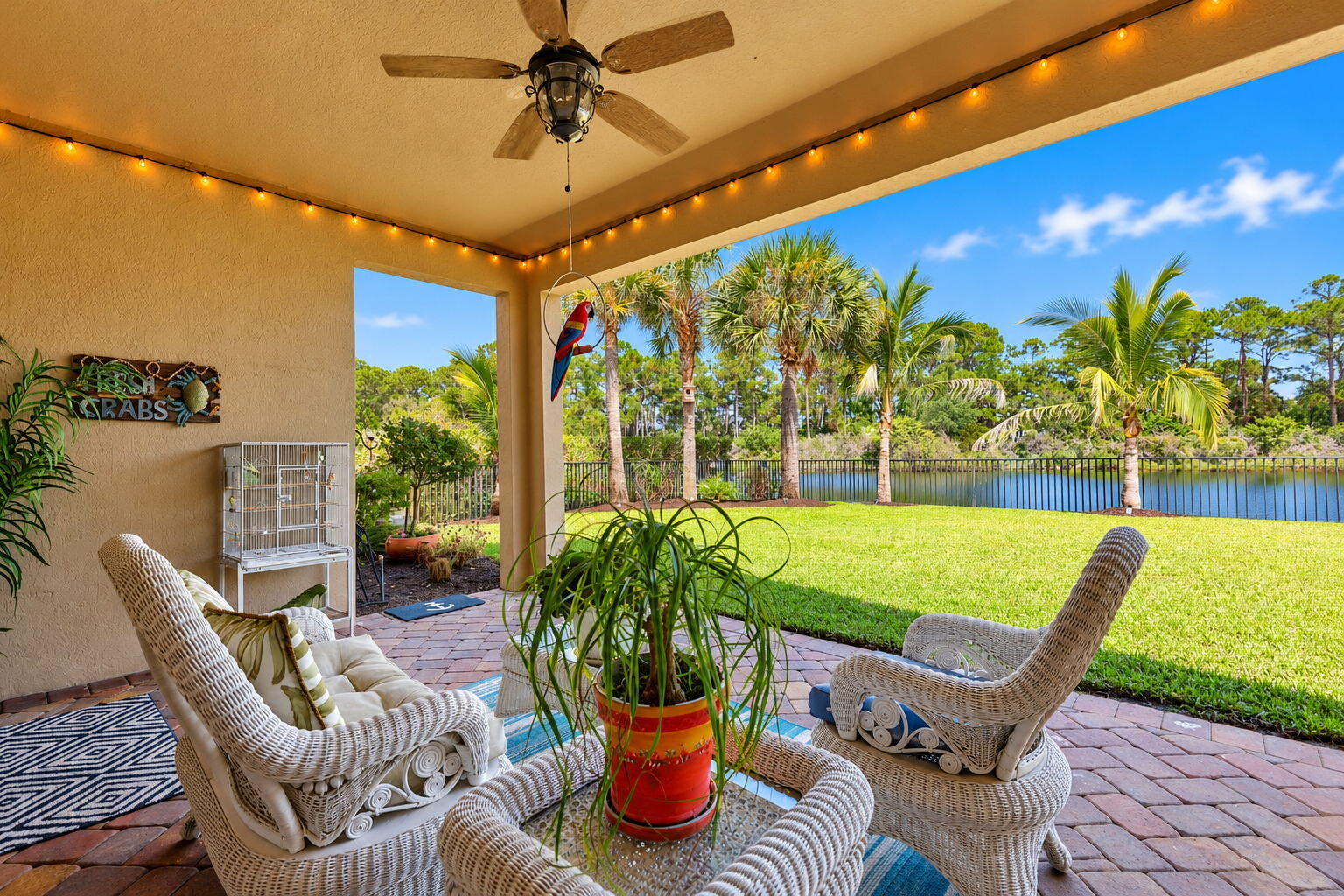 45-web-or-mls-5P1A0536
