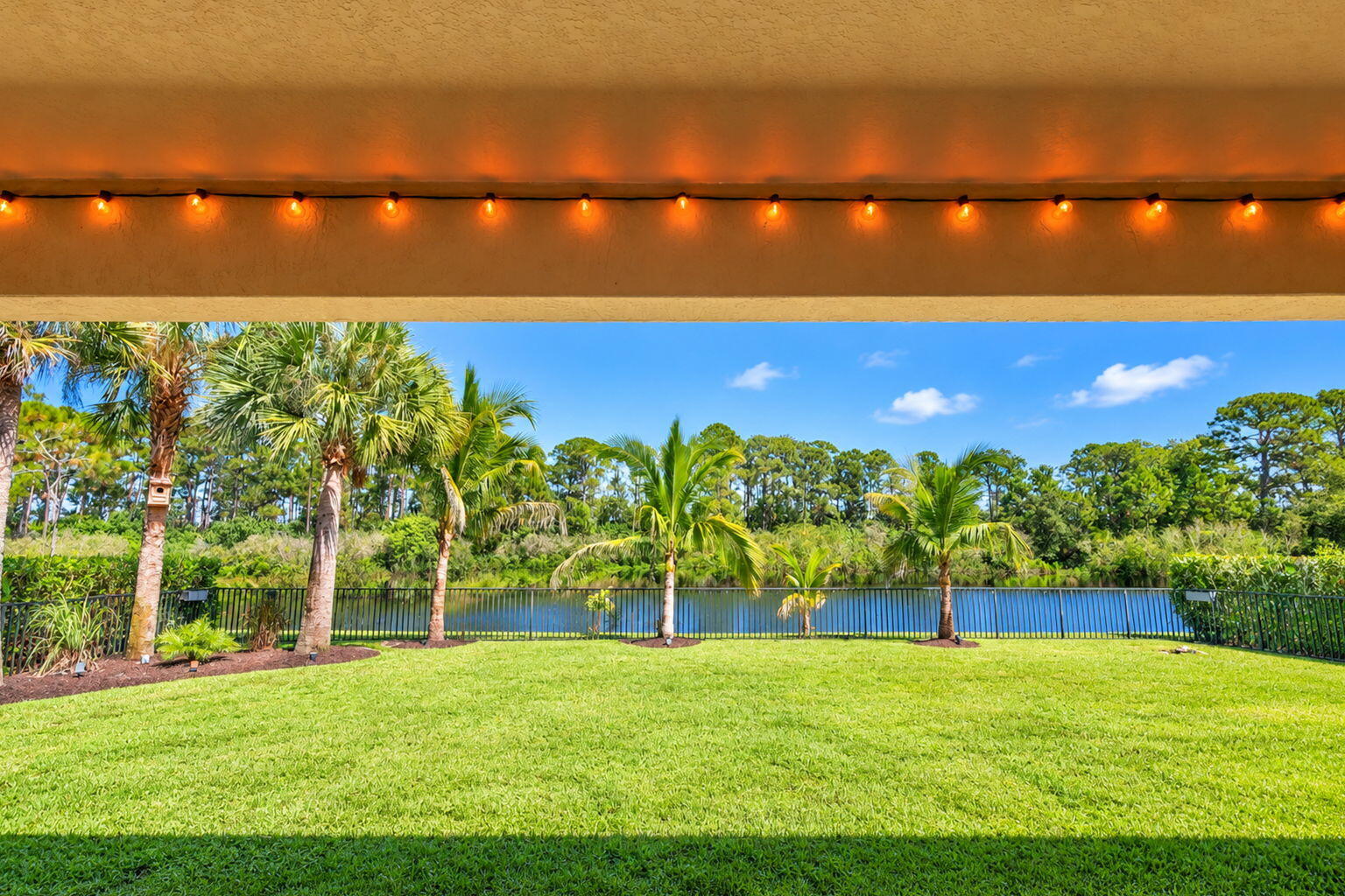 48-web-or-mls-5P1A0542
