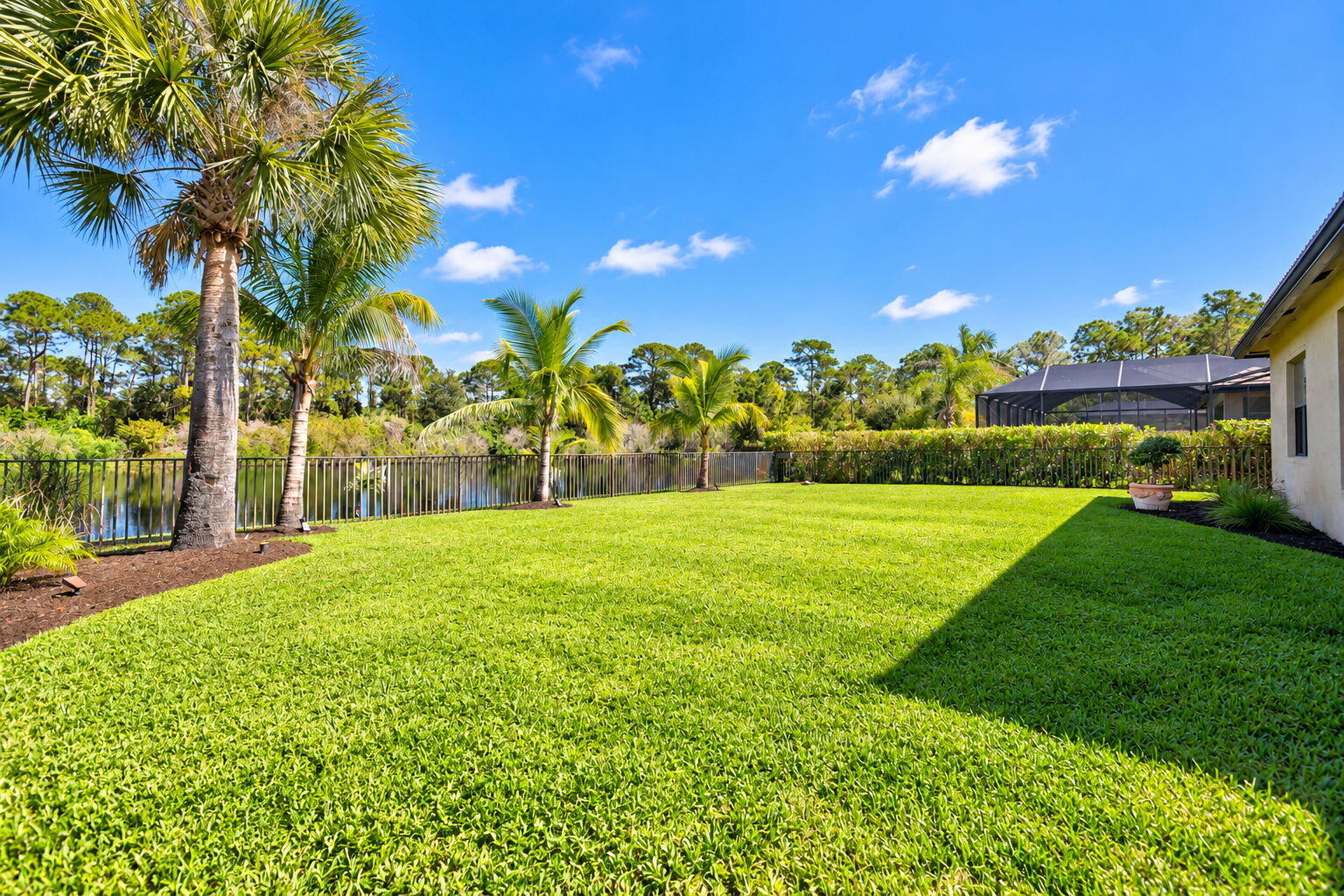 54-web-or-mls-5P1A0541
