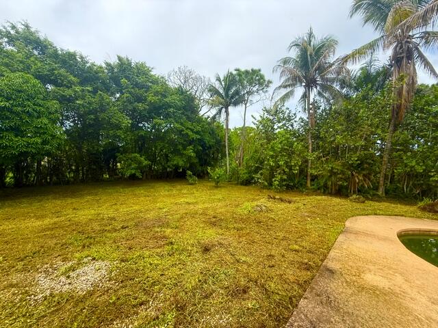 Far Back corner of the backyard