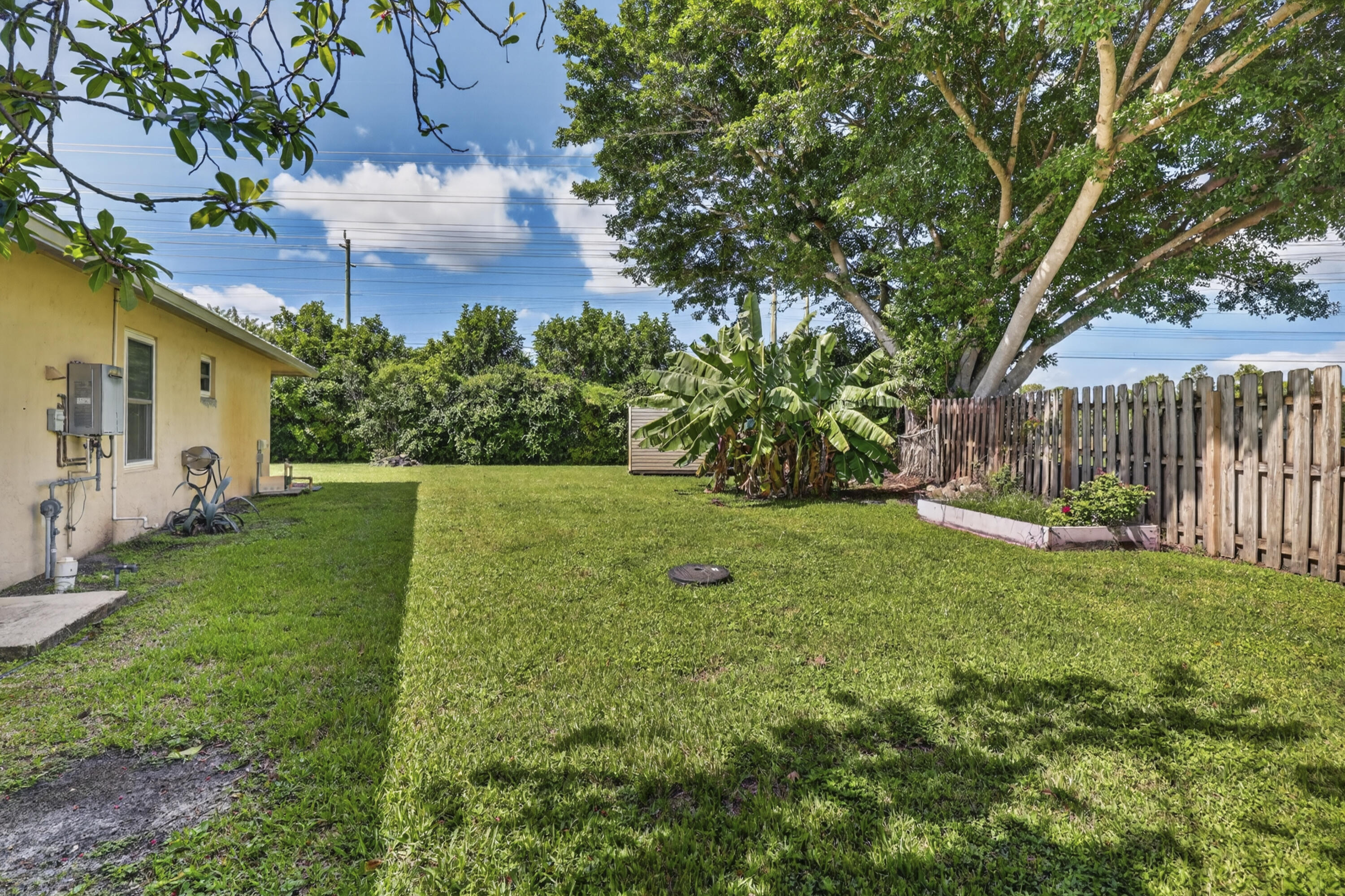 Yard With Banana Tree