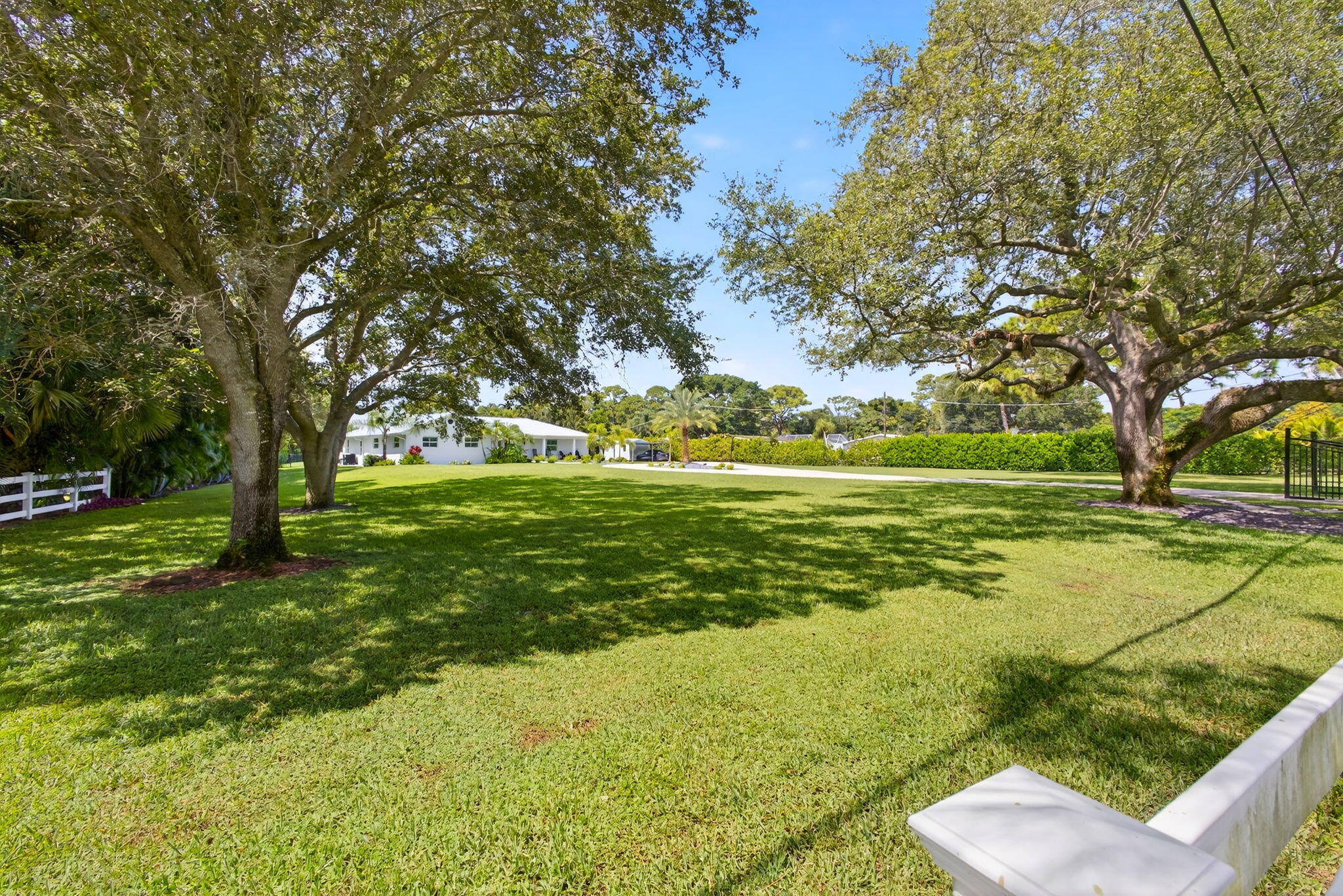 Expansive yard featuring mature trees, white post-and-rail fencing, and manicured landscaping