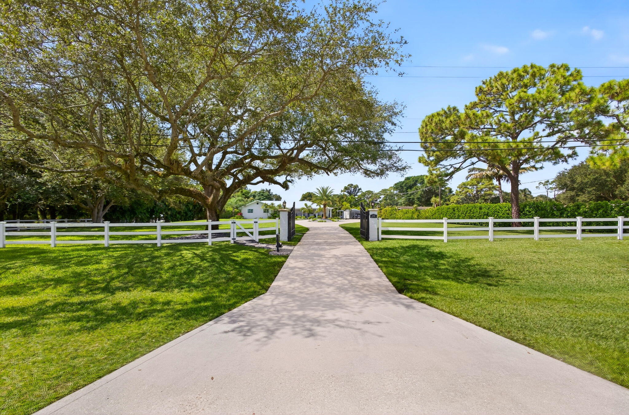 Paved driveway entrance featuring iron gate accents, white perimeter fencing, and mature canopy trees