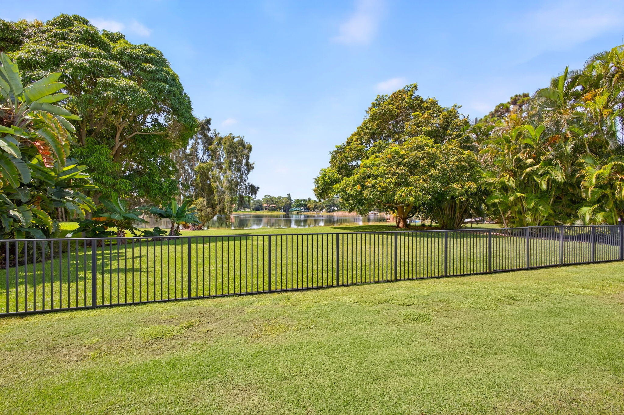 Expansive lawn featuring a black metal perimeter fence and mature trees