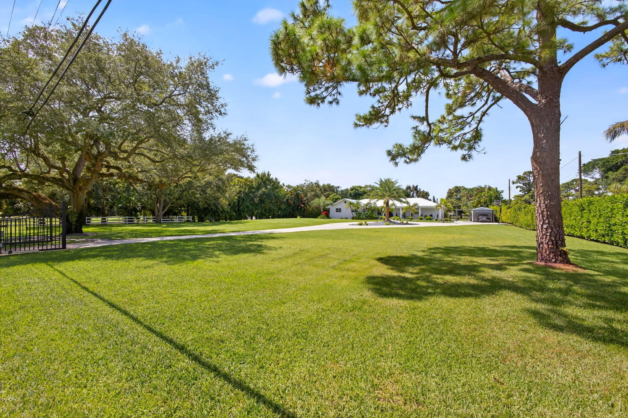 Expansive grounds featuring a manicured lawn, mature trees, an asphalt driveway, and perimeter greenery
