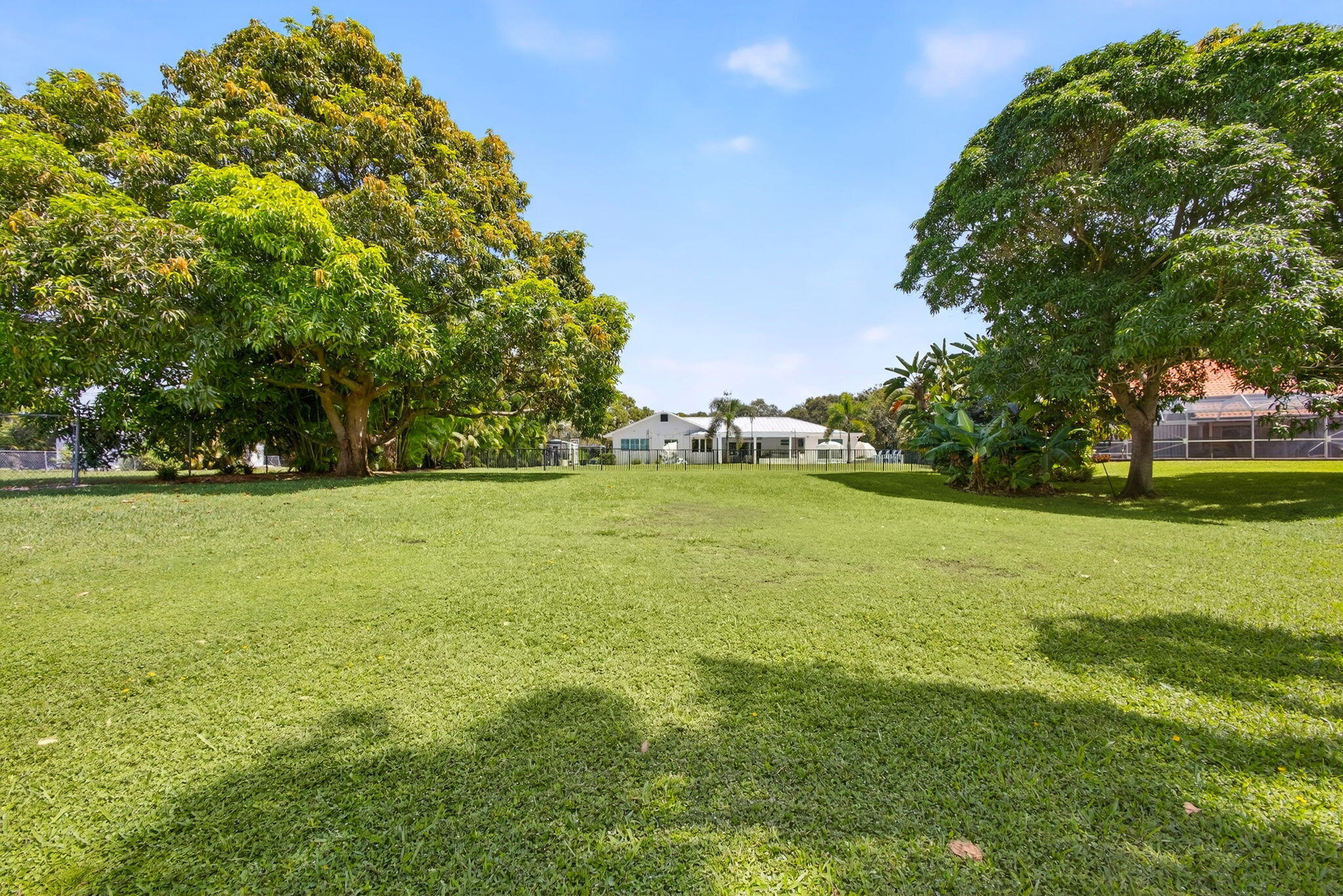 Expansive backyard featuring a manicured lawn, established mature trees, and perimeter fencing