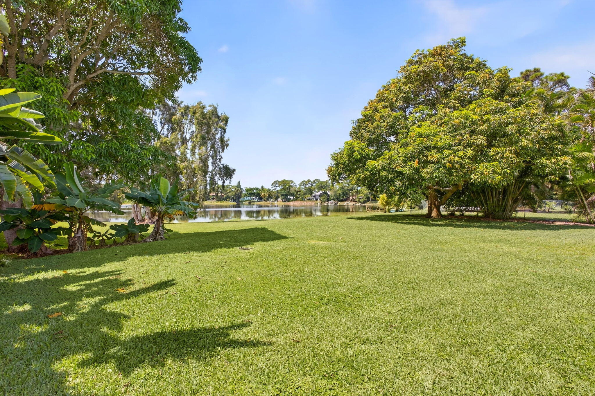 Expansive grassy backyard featuring mature shade trees and direct waterfront frontage