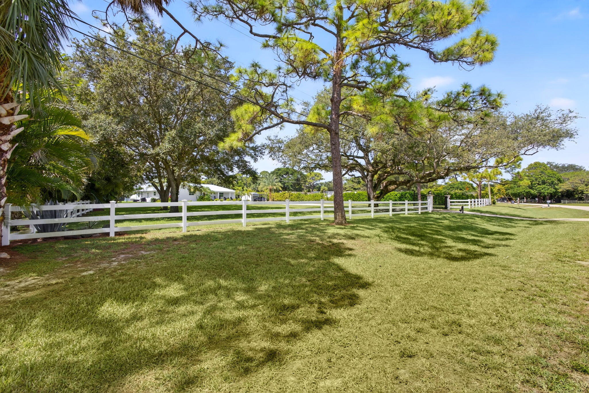 Expansive grounds featuring a manicured lawn, white split-rail fencing, and mature canopy trees