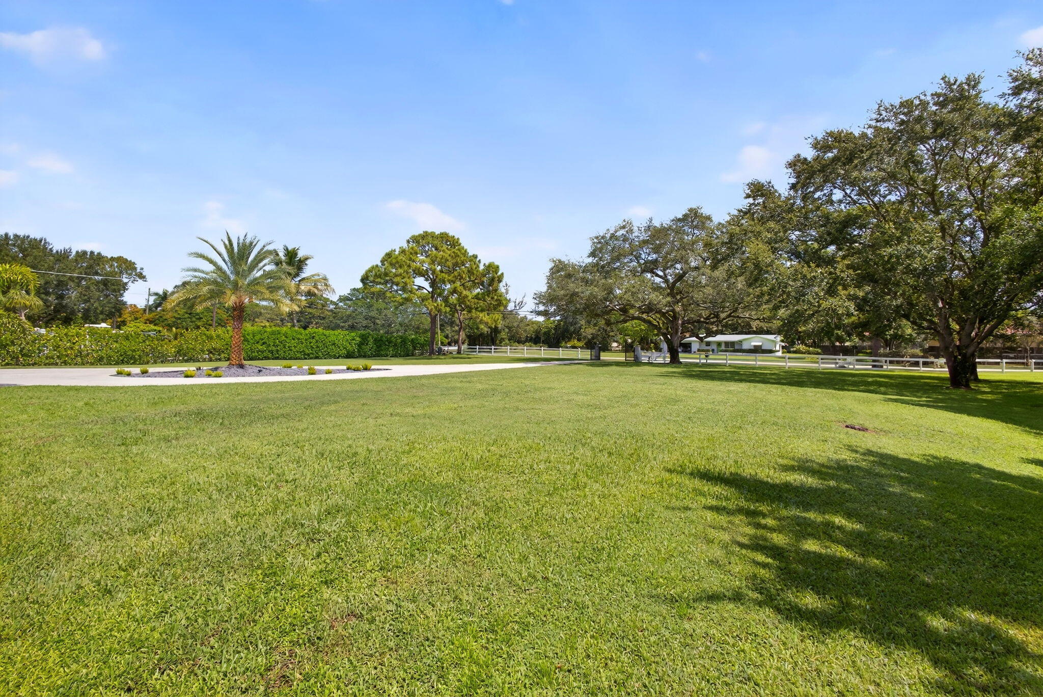 Expansive lawn featuring mature trees, a central palm tree, and white perimeter fencing