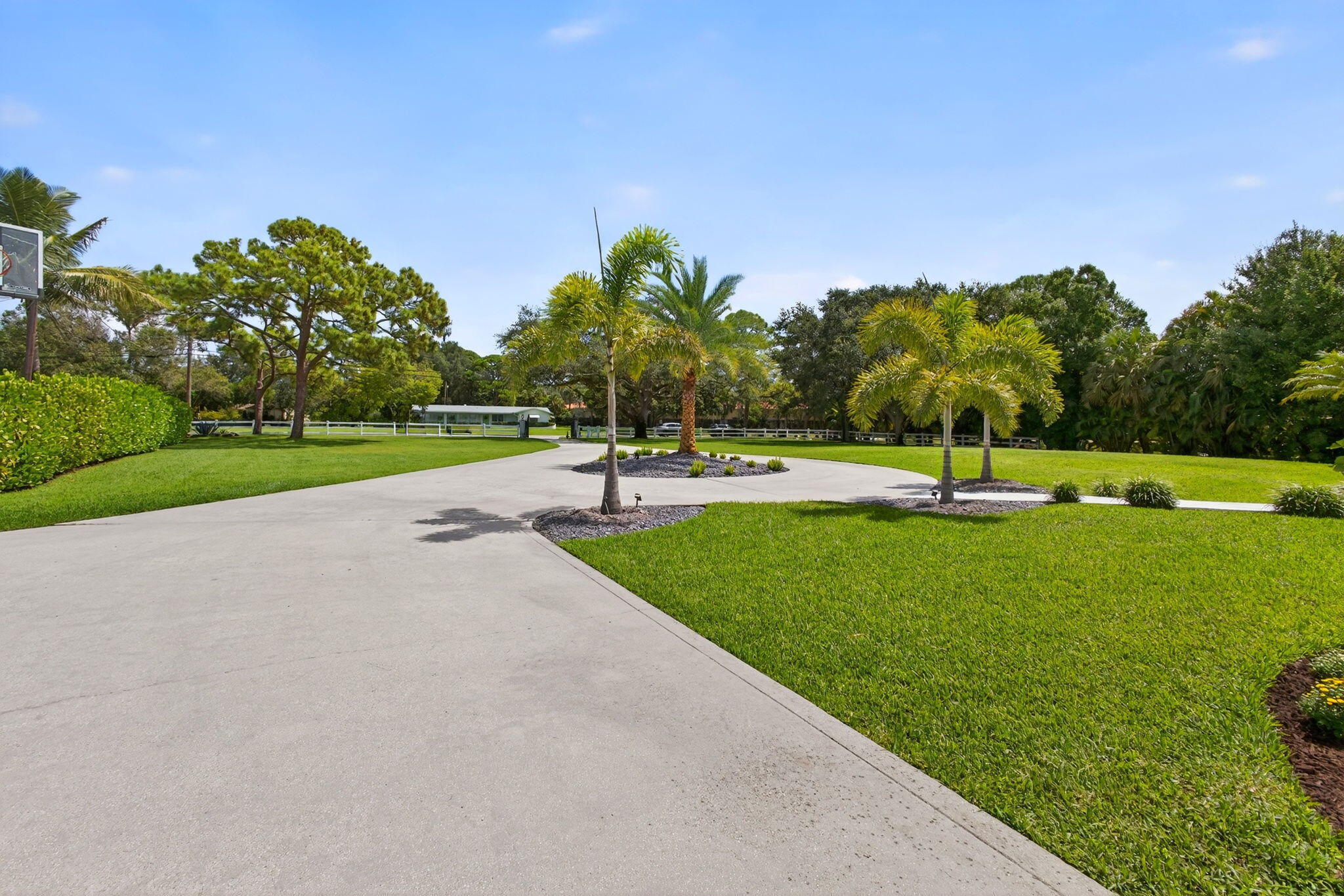 Extensive concrete driveway, landscaped grounds with mature palm trees, manicured turf, and decorative stone-mulched garden beds