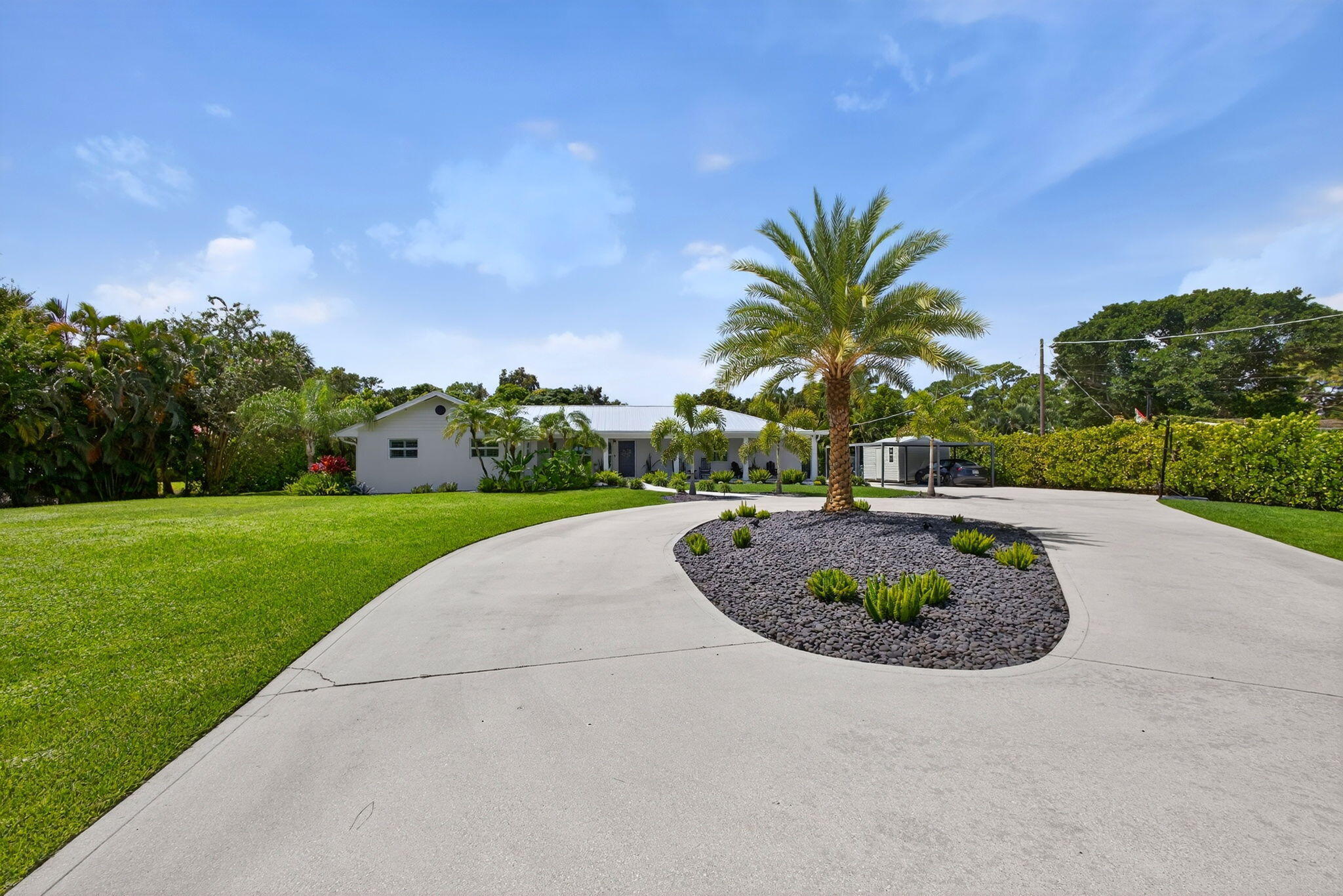 Circular concrete driveway featuring a central landscape island with decorative stone mulch, a mature palm tree, and a manicured lawn