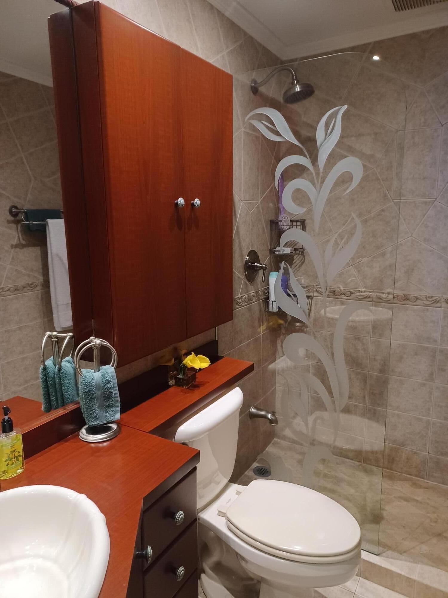 primary bathroom cabinet toilet