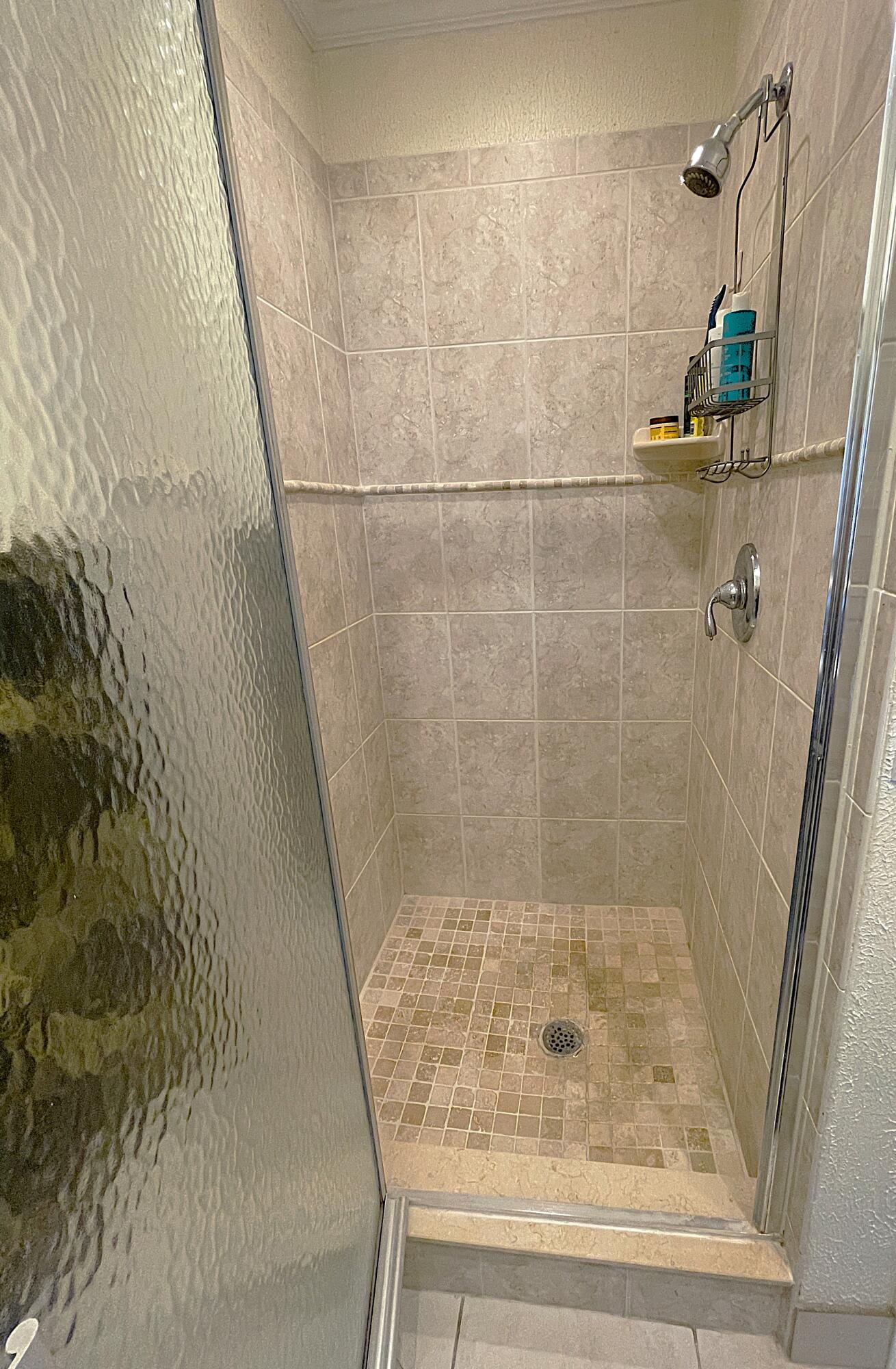Primary Shower