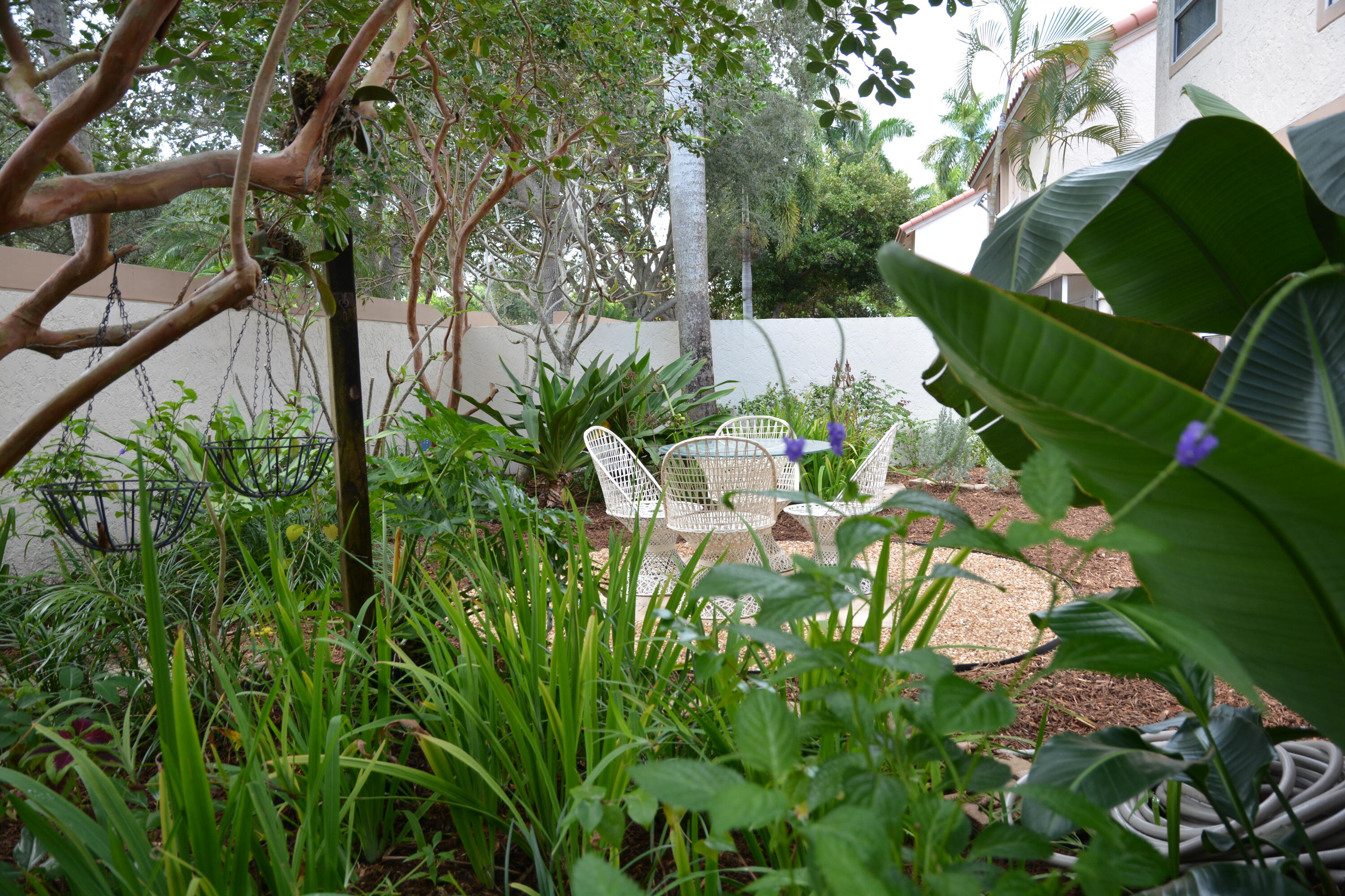 Backyard Foliage