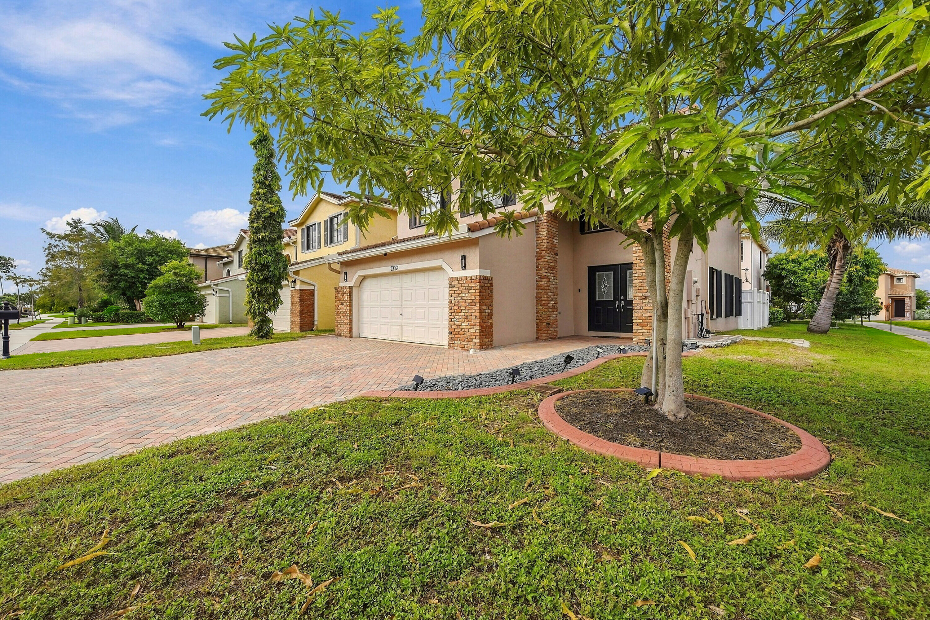 Nice side yard with Mango tree Nice side yard with Mango tree