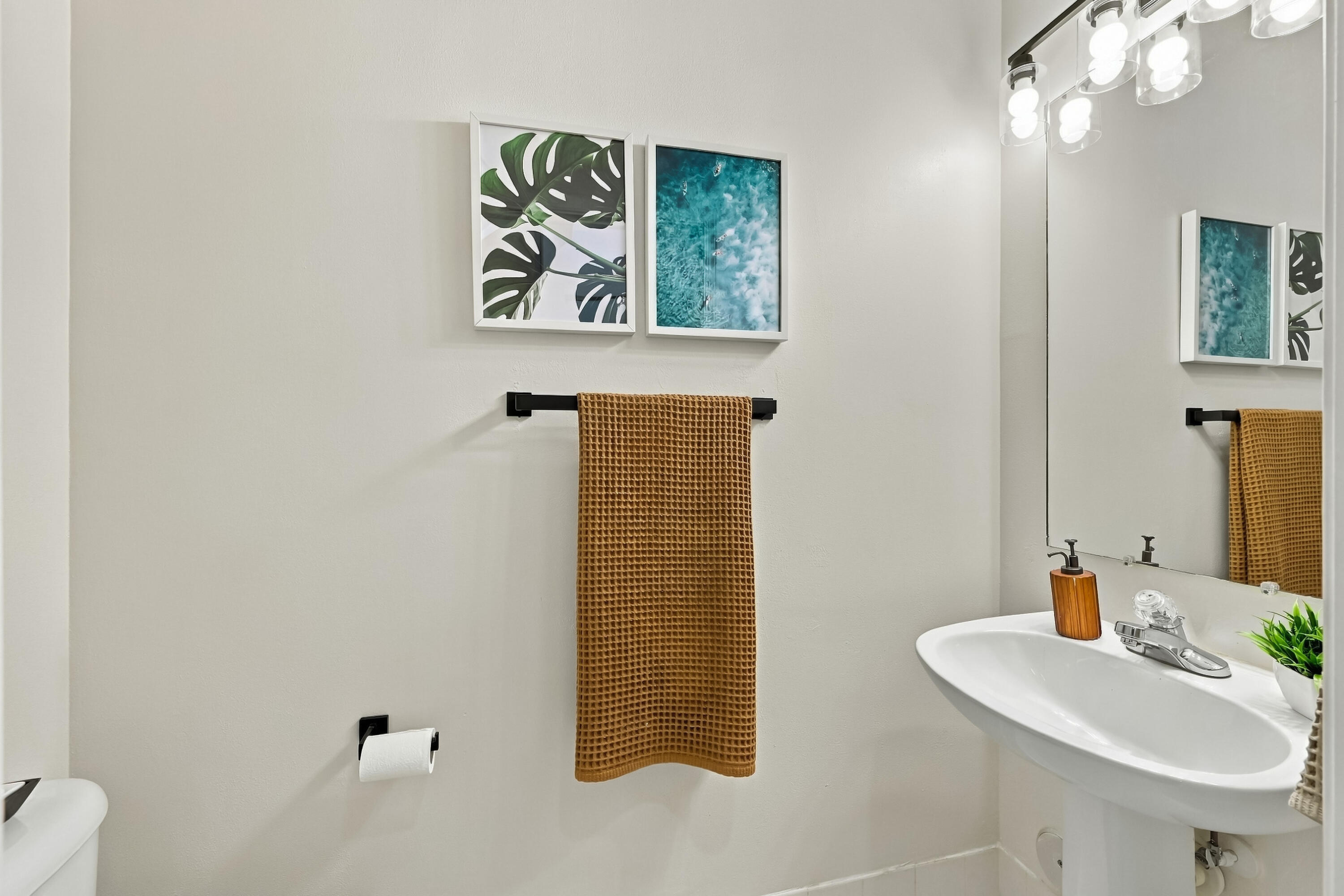 Guest bathroom downstairs.