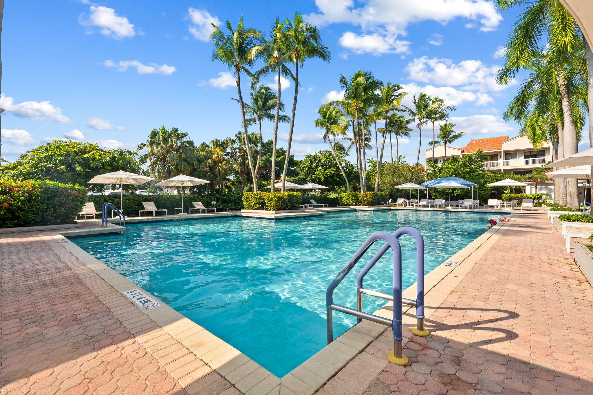 Swimming pool featuring a paver stone deck, metal entry handrails, and surrounding mature palm trees