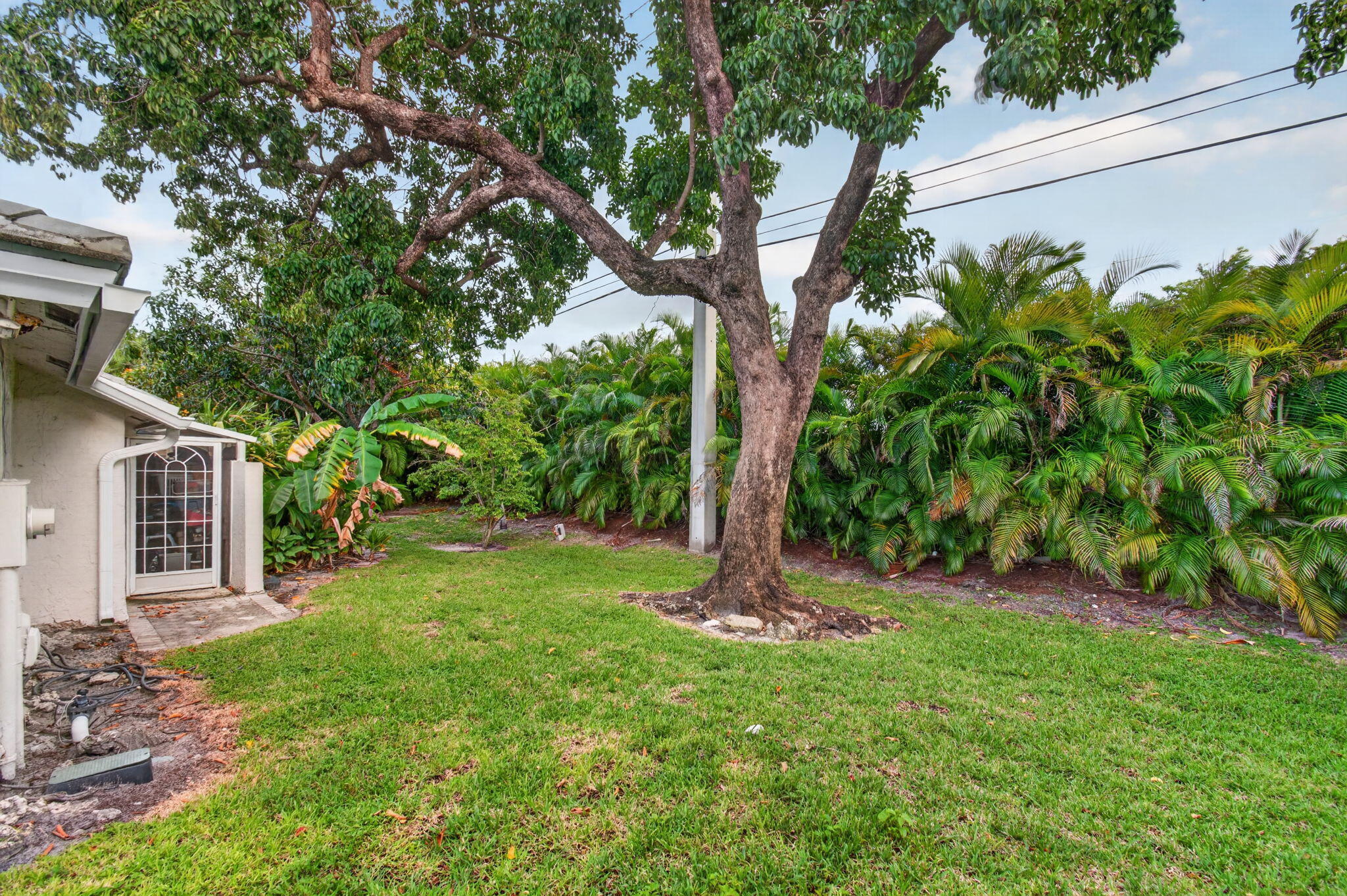 53-web-or-mls-DSC_6431