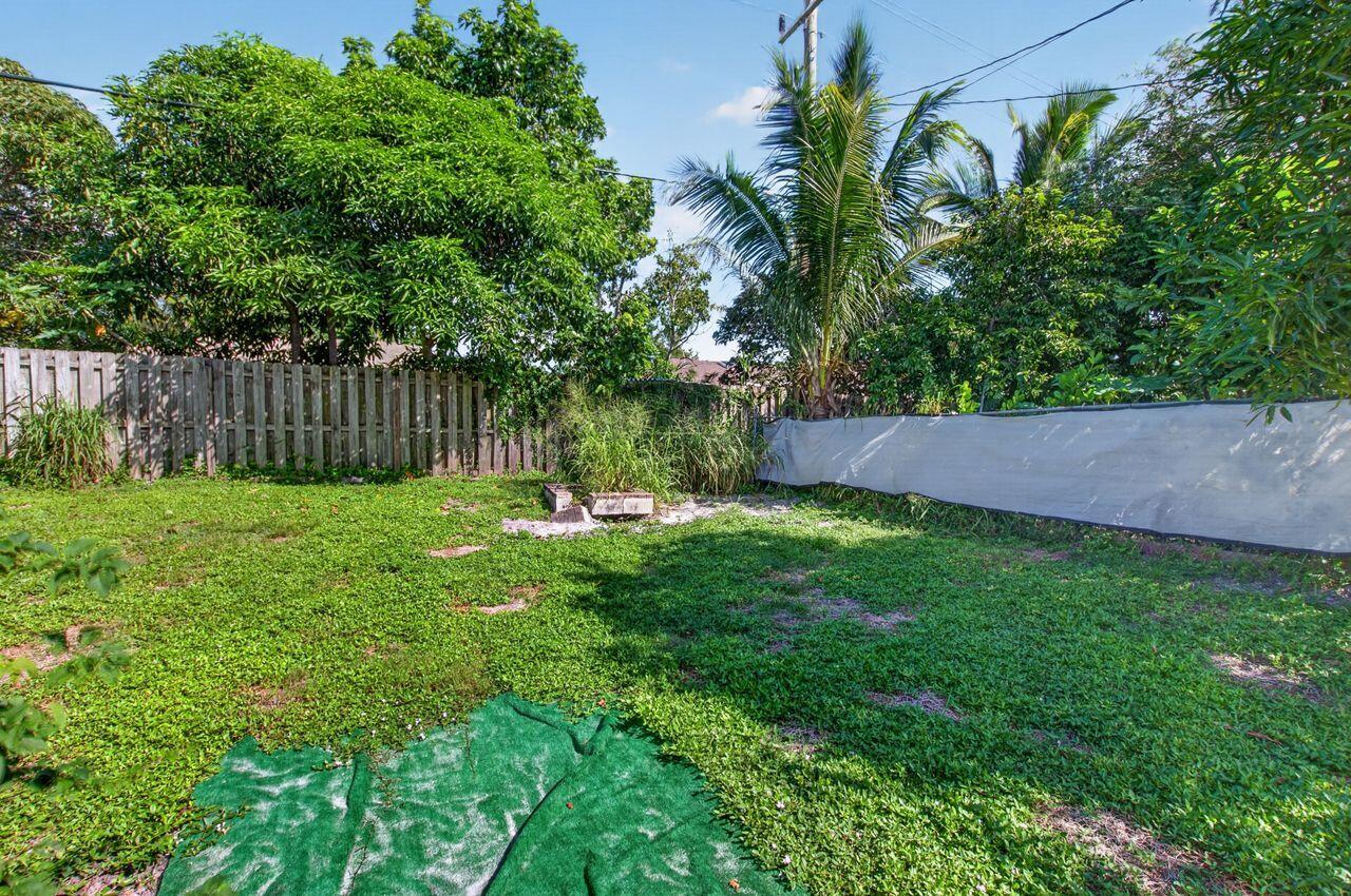 Backyard