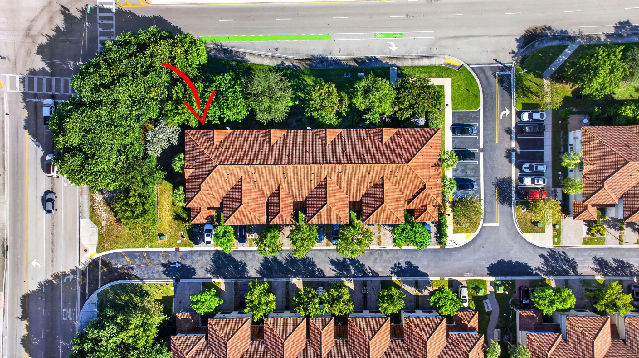 50-web-or-mls-305-50