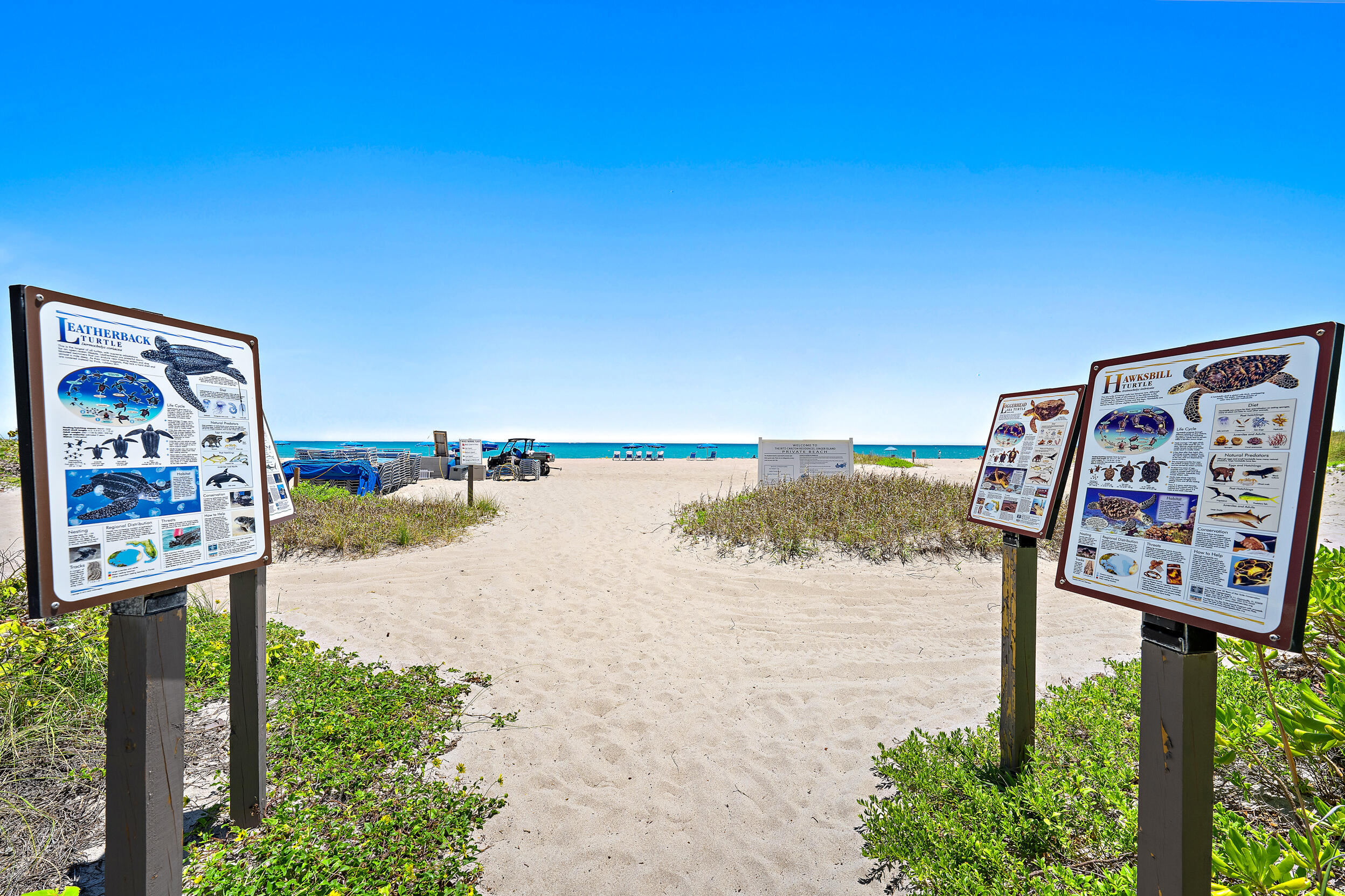 Ritz~ Beachfront