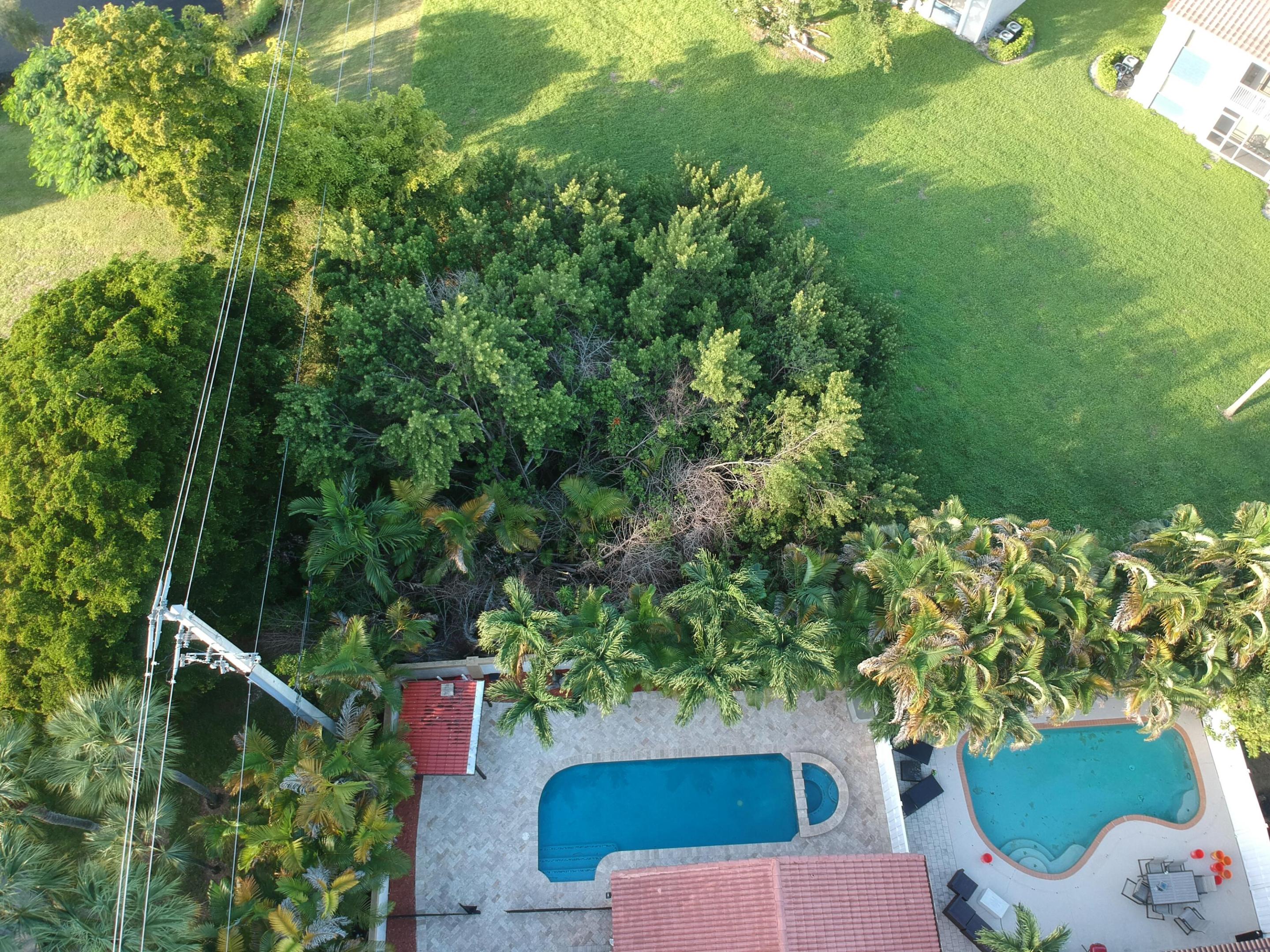 Aerial View 2