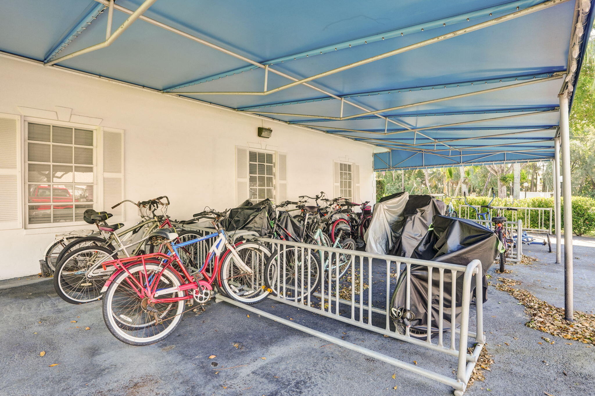 60-web-or-mls-DSC03287