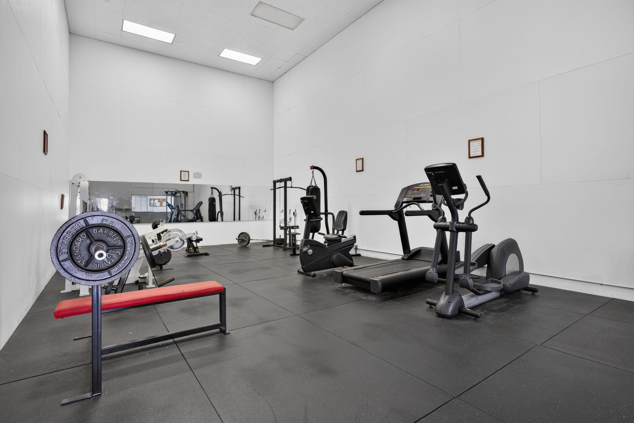 36-web-or-mls-5551-38