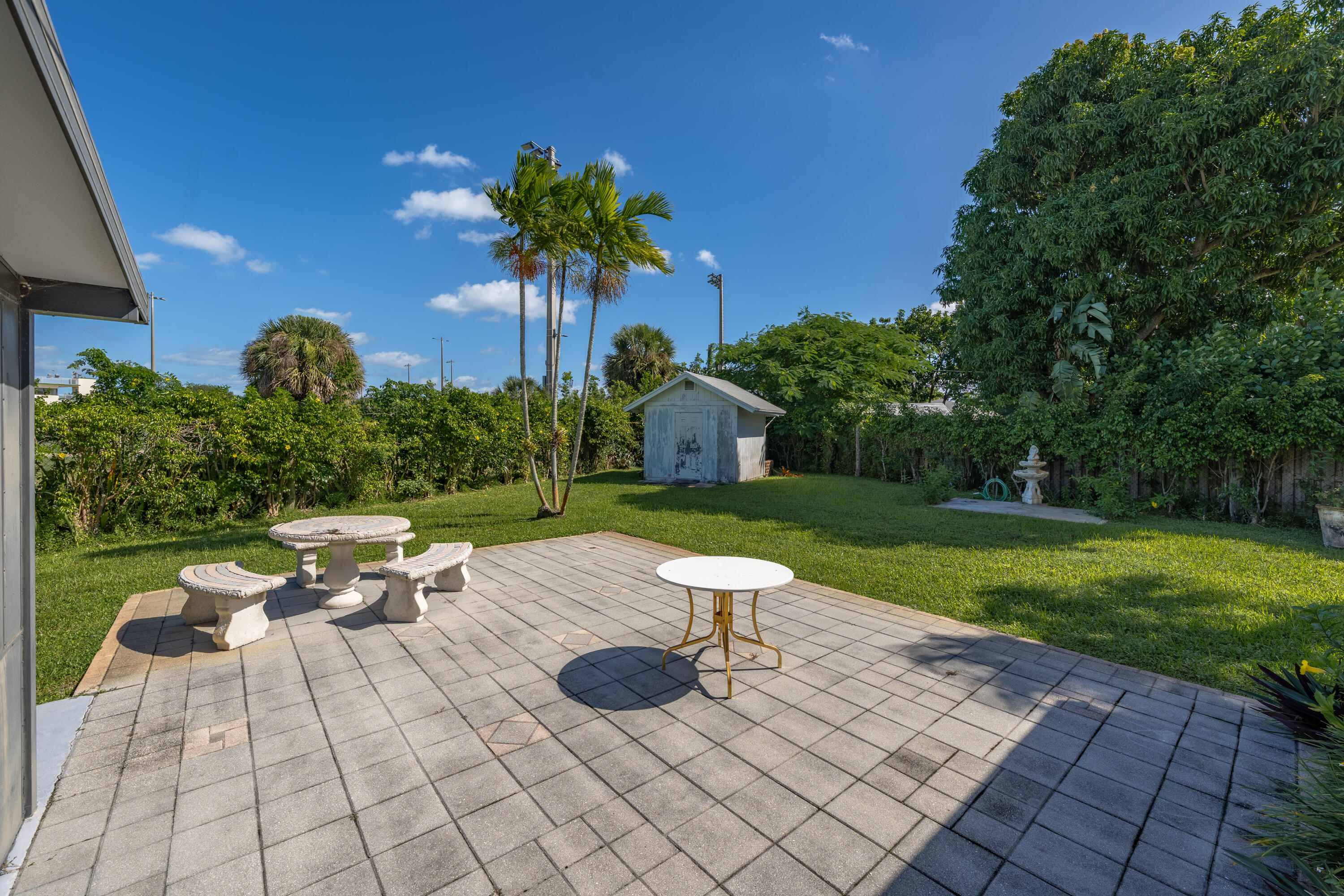 LARGE BACKYARD