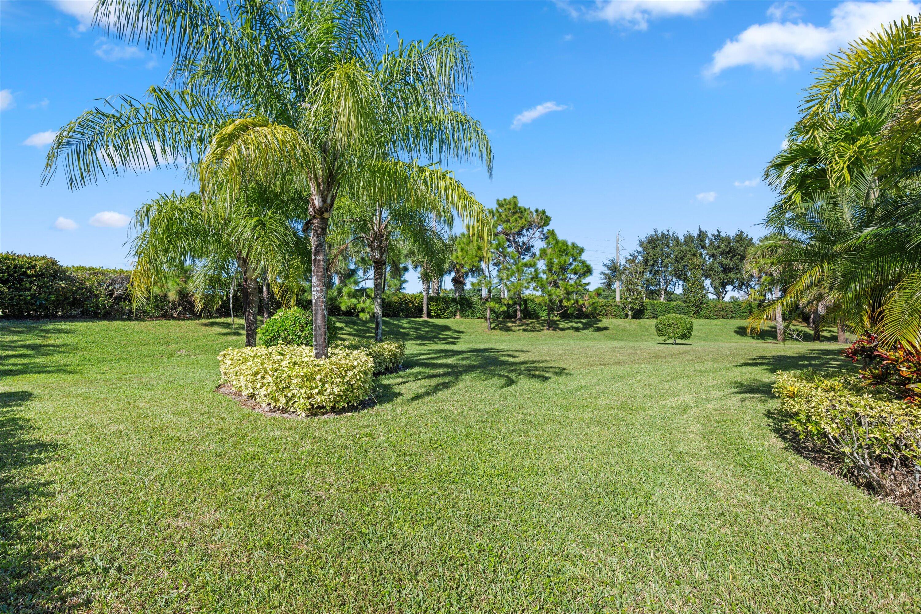 Expansive lawn featuring mature palm trees and manicured shrubbery