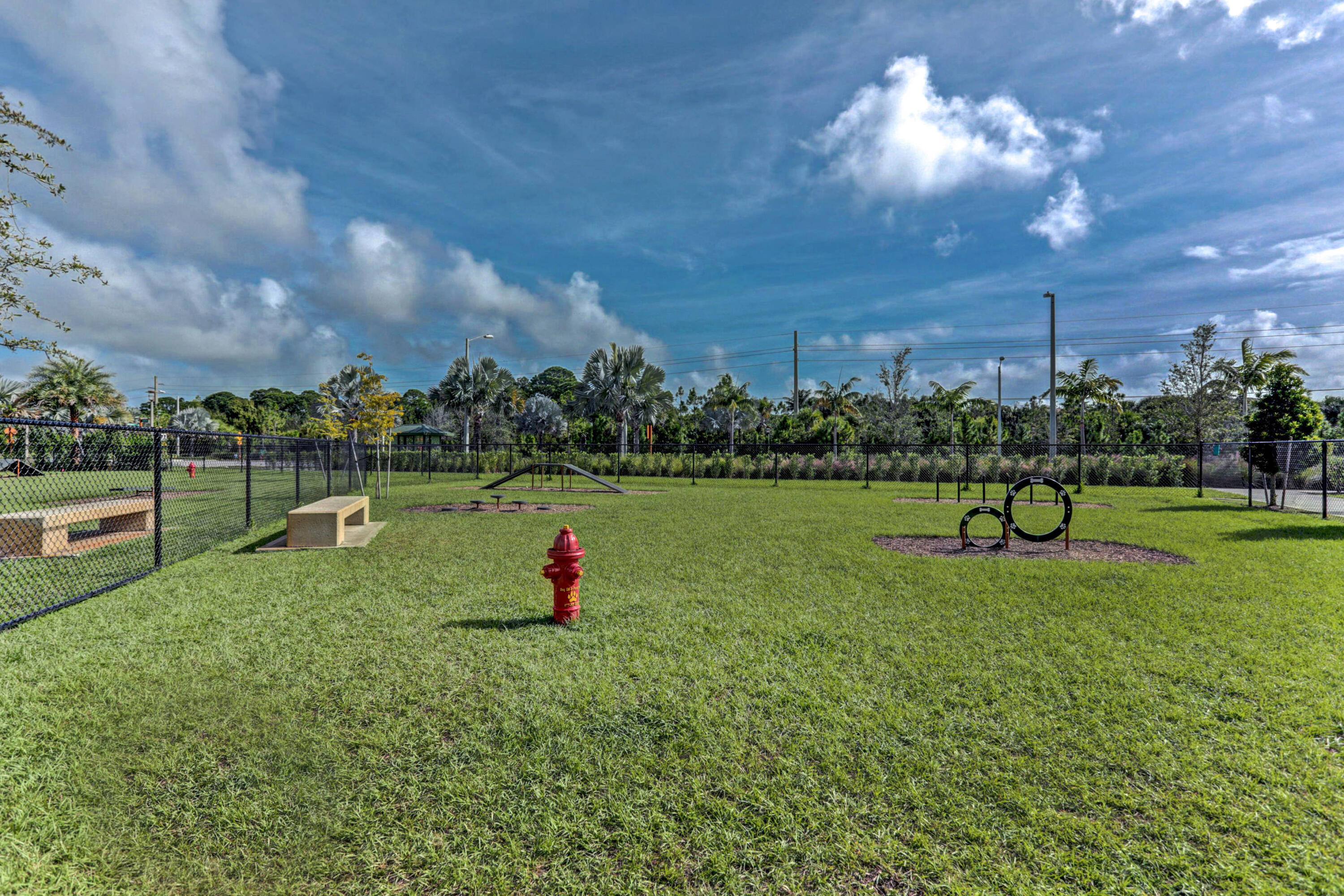 Dog Park