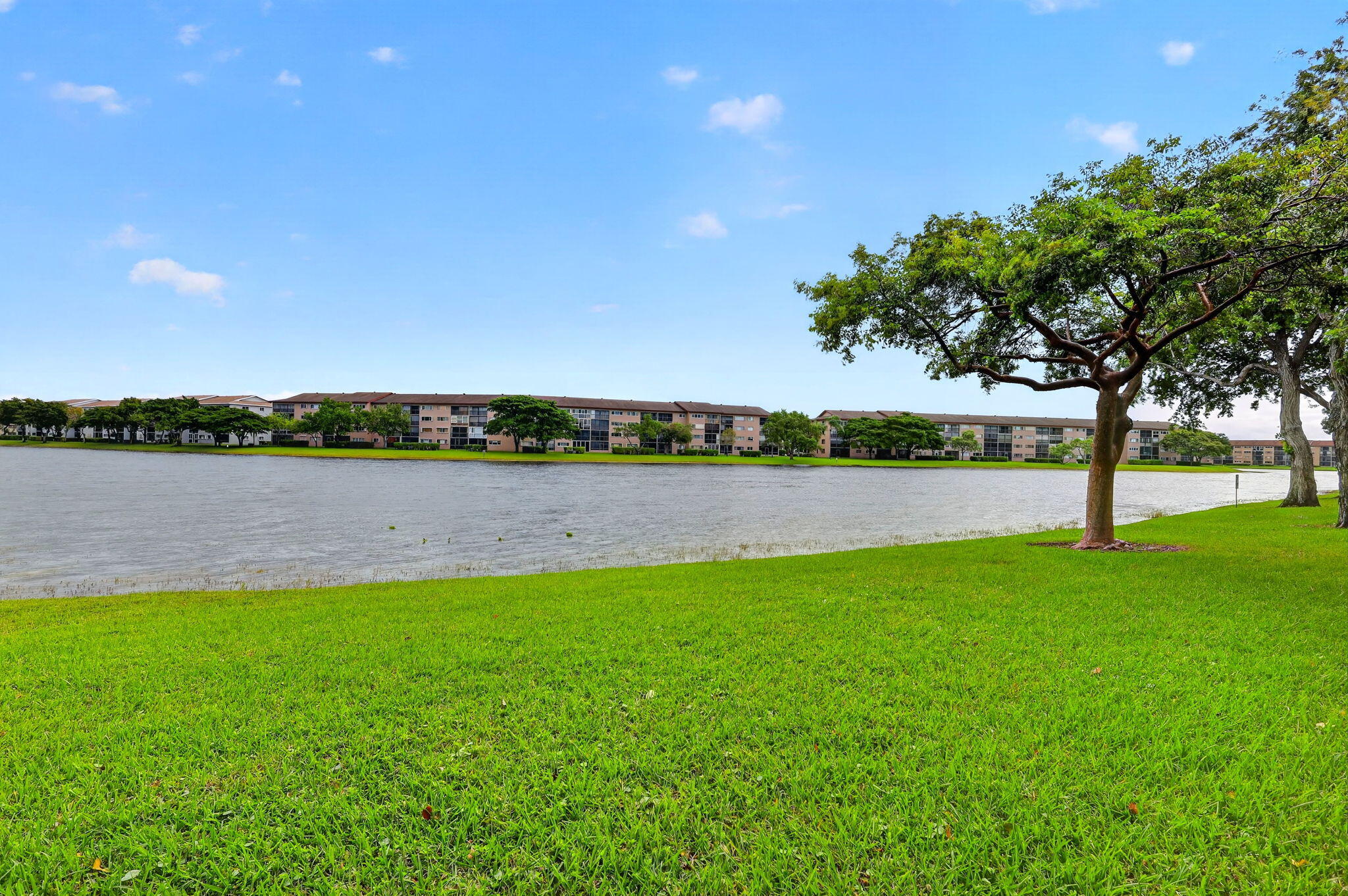 LAKE VIEW