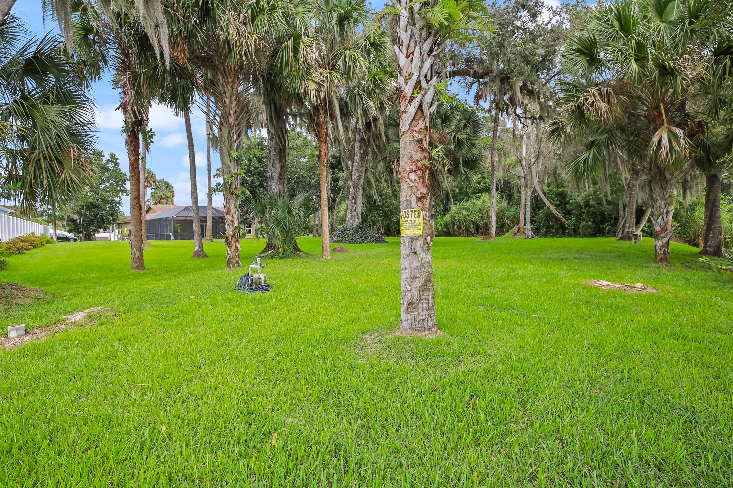 Backyard