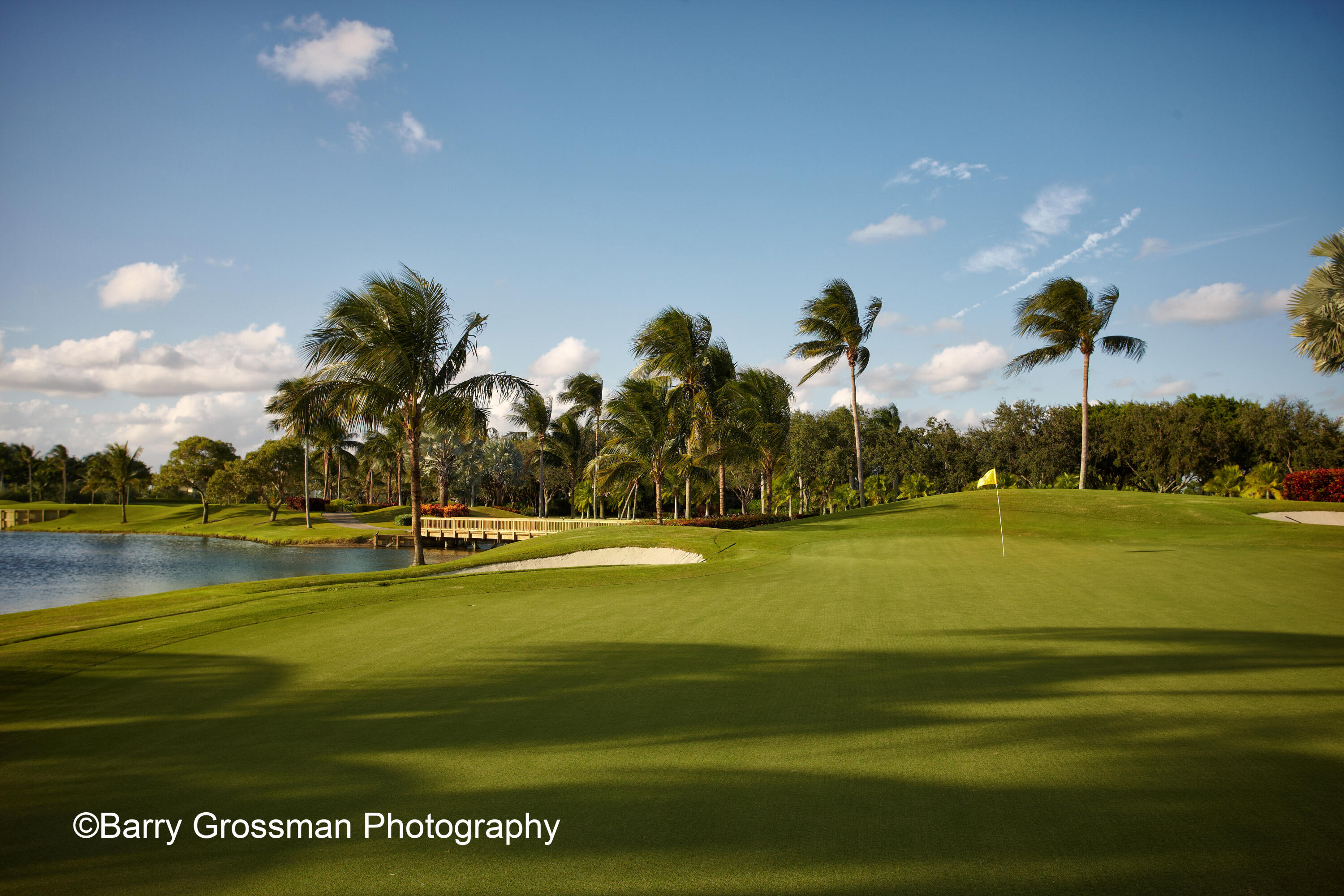 Woodfield Golf