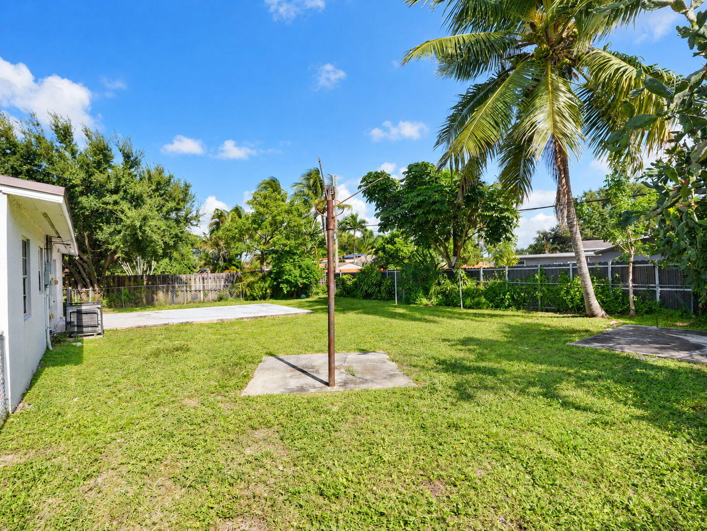 Backyard space featuring mature palm trees, concrete pads, and perimeter fencing