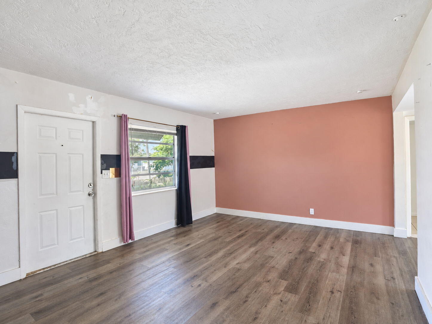 Entry/living room wood-finish flooring, with an accent wall,