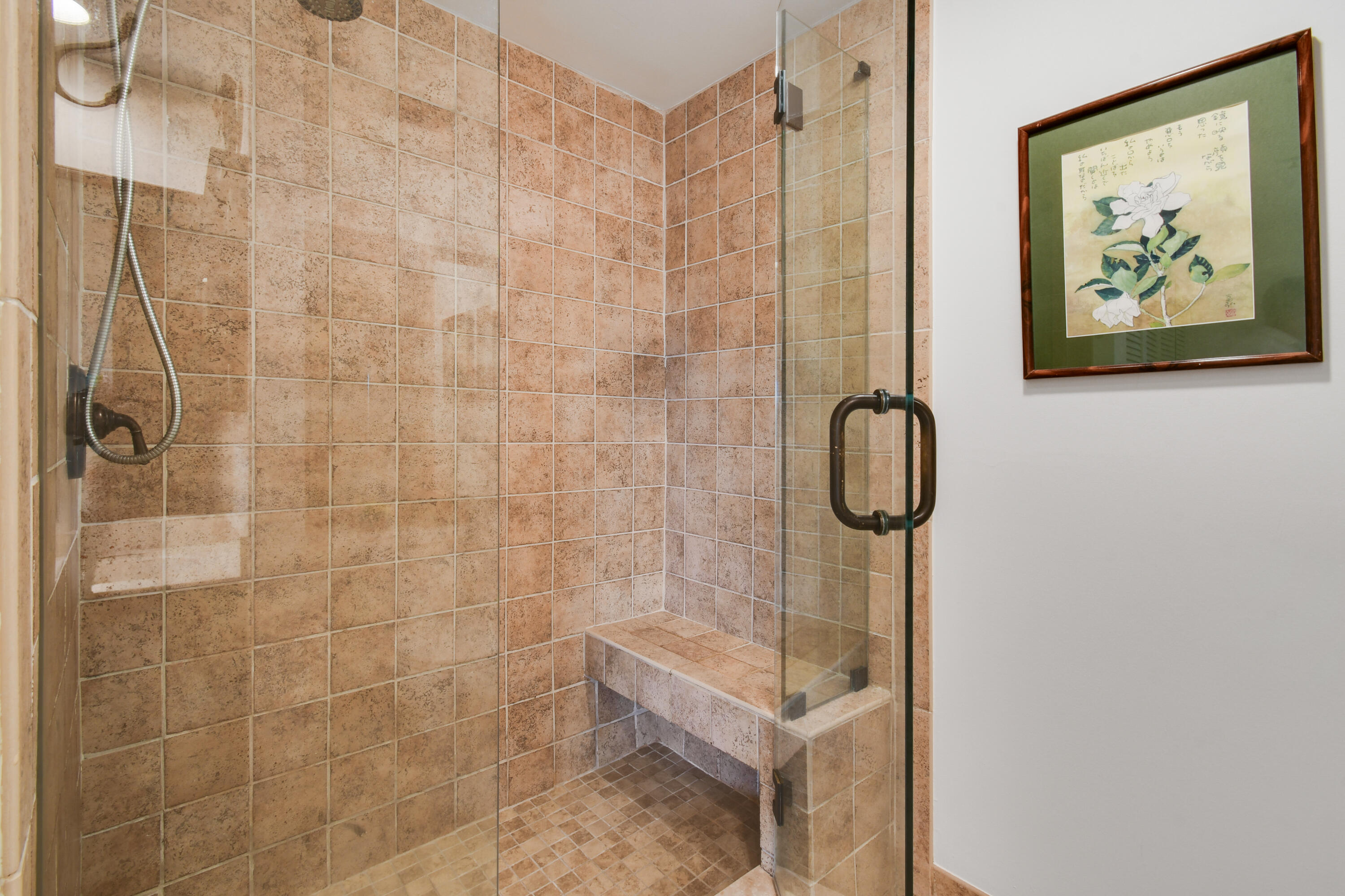 Walk-in Shower